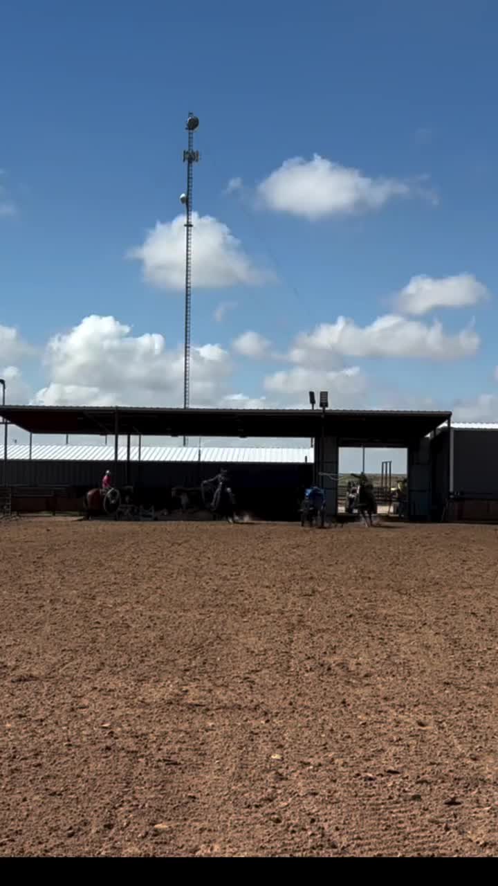 @Roping Dummies Texas