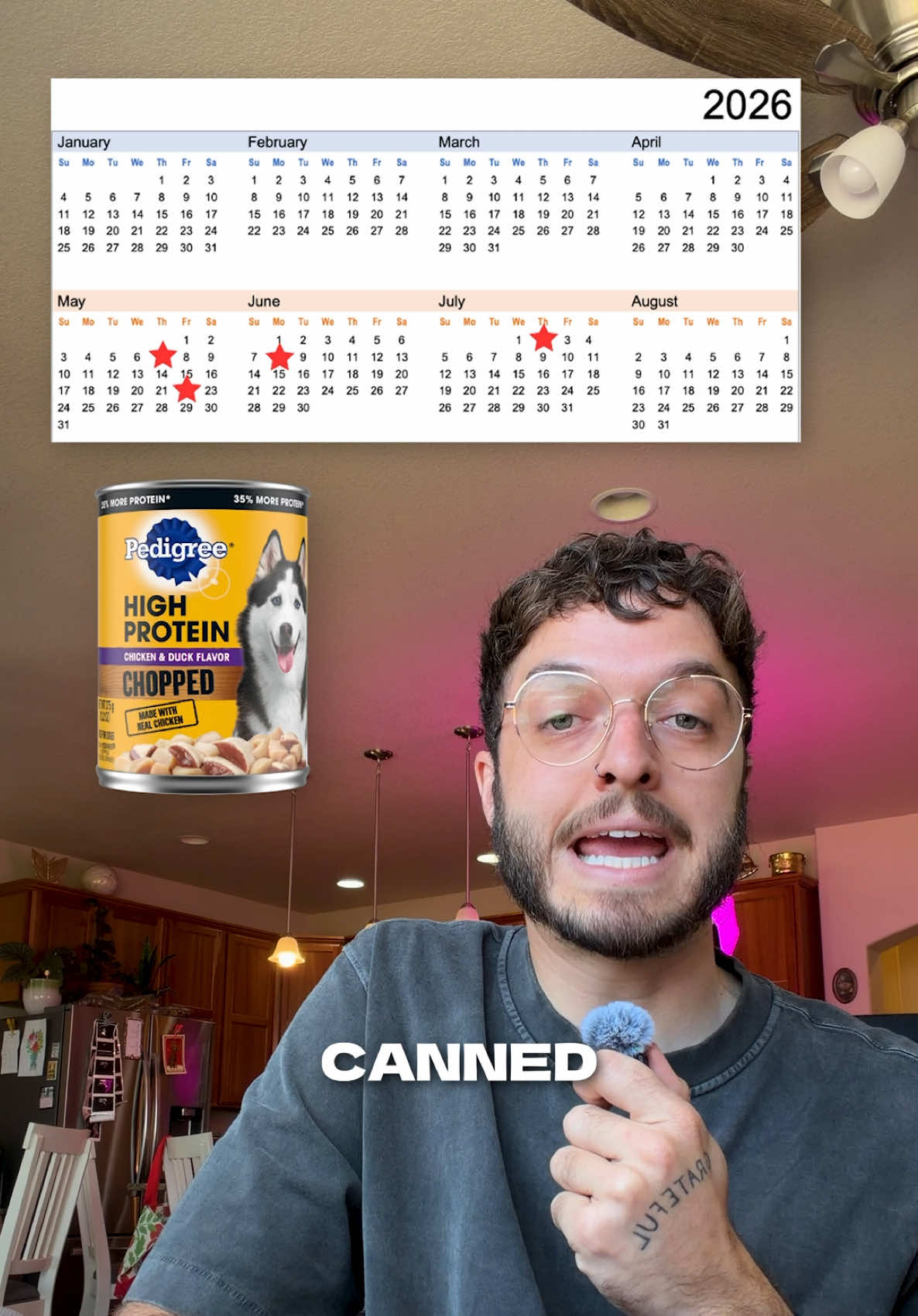 @The BK Pets - Dog Food Tips