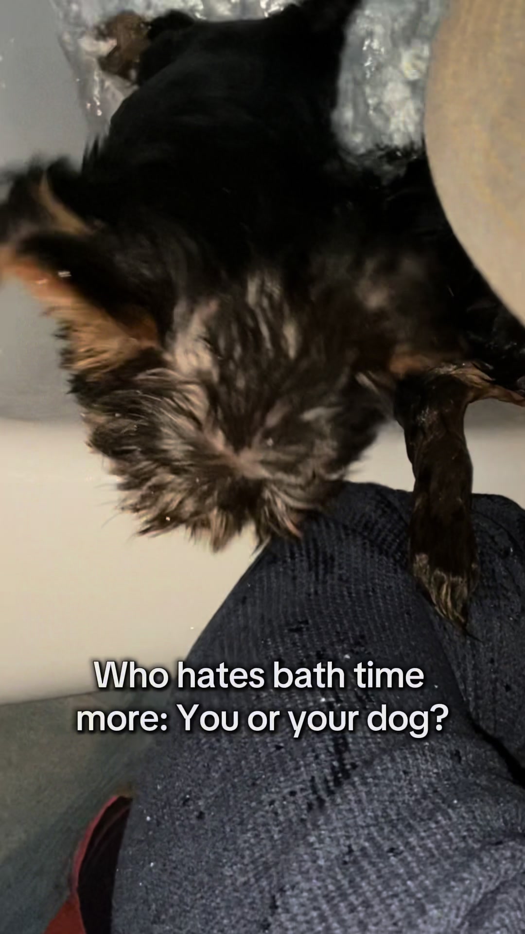 @JessesChick