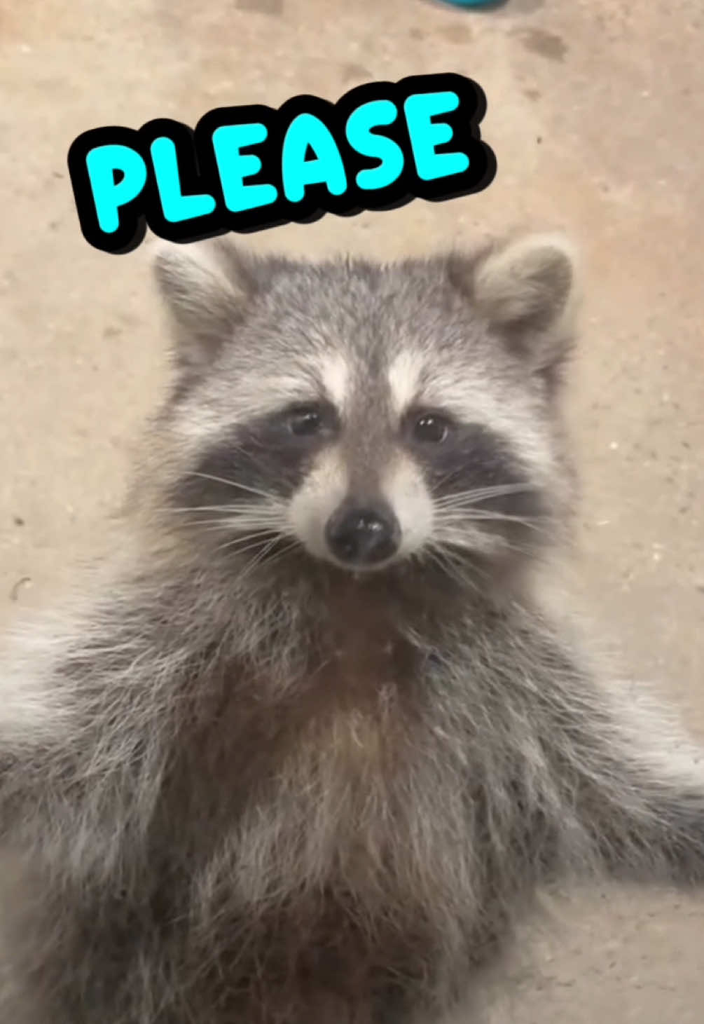 @Rufus Goodboy