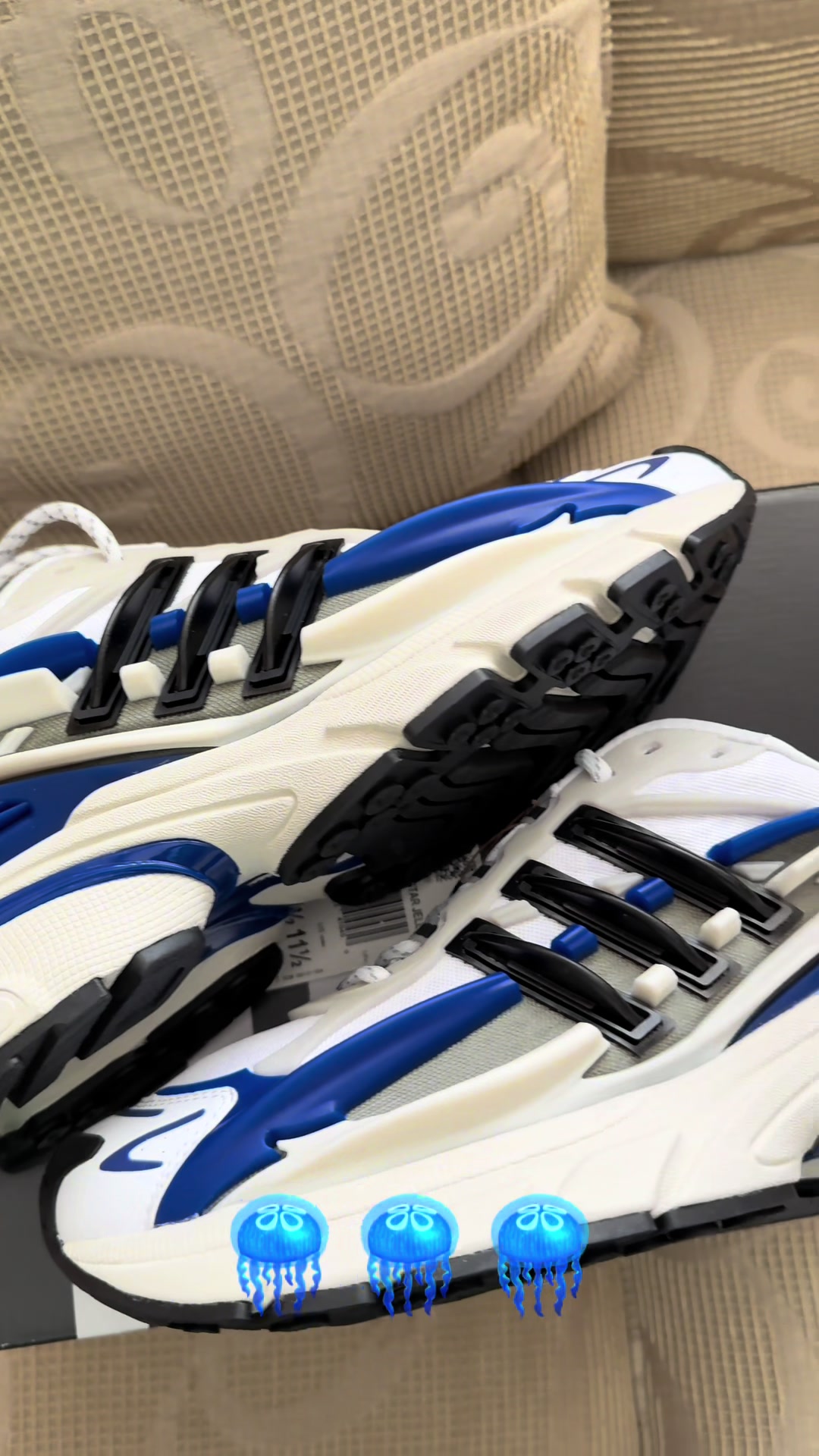 @flyzonekicks