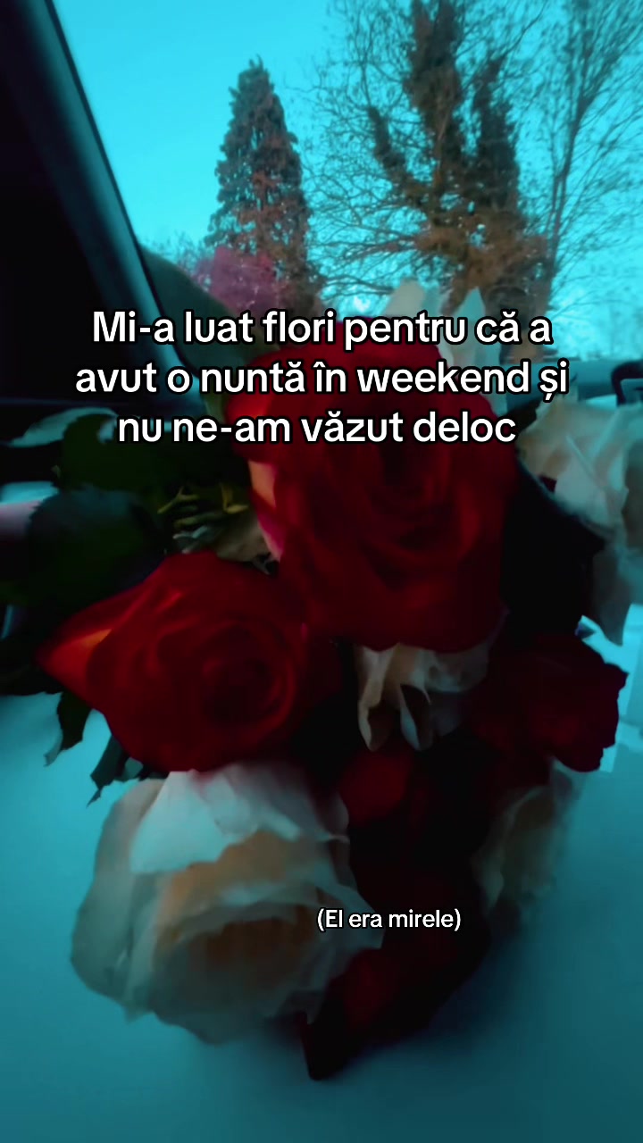 @Camiy✨