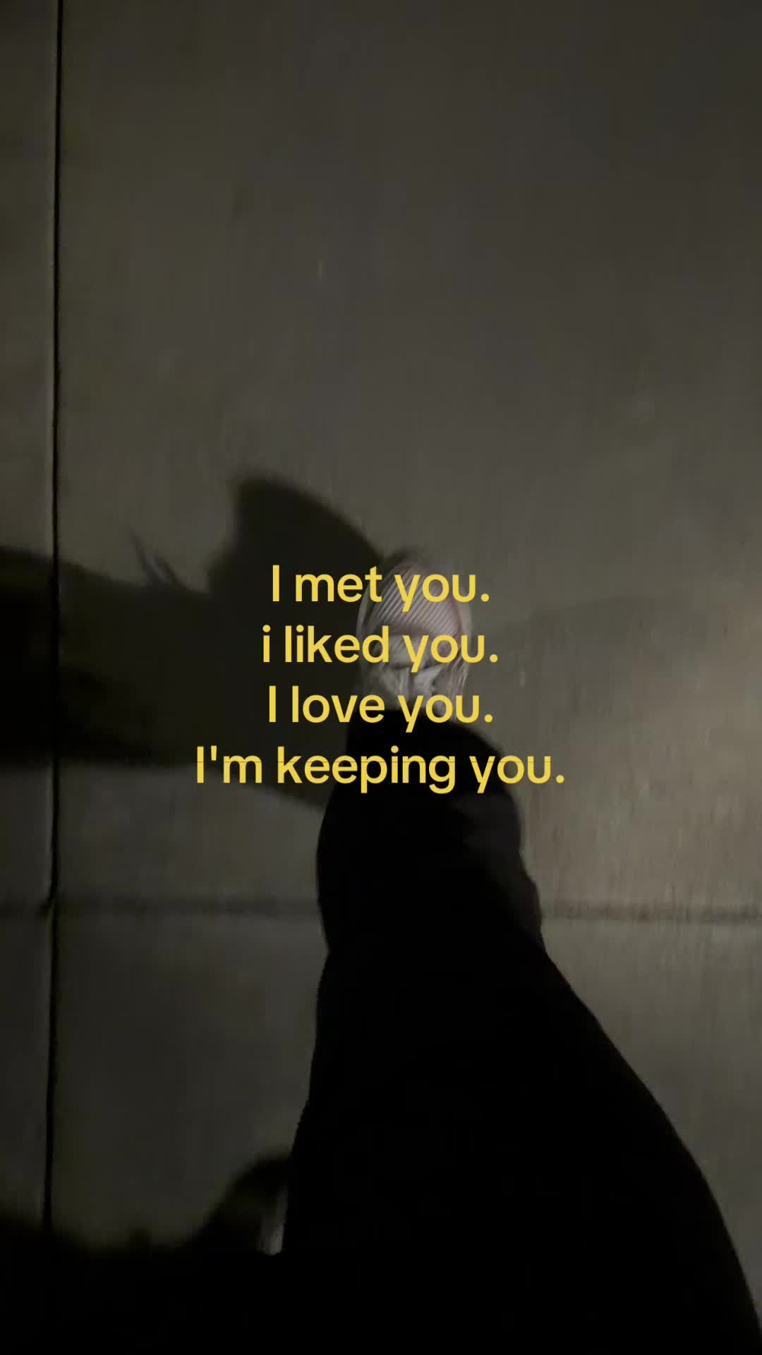 @Safi