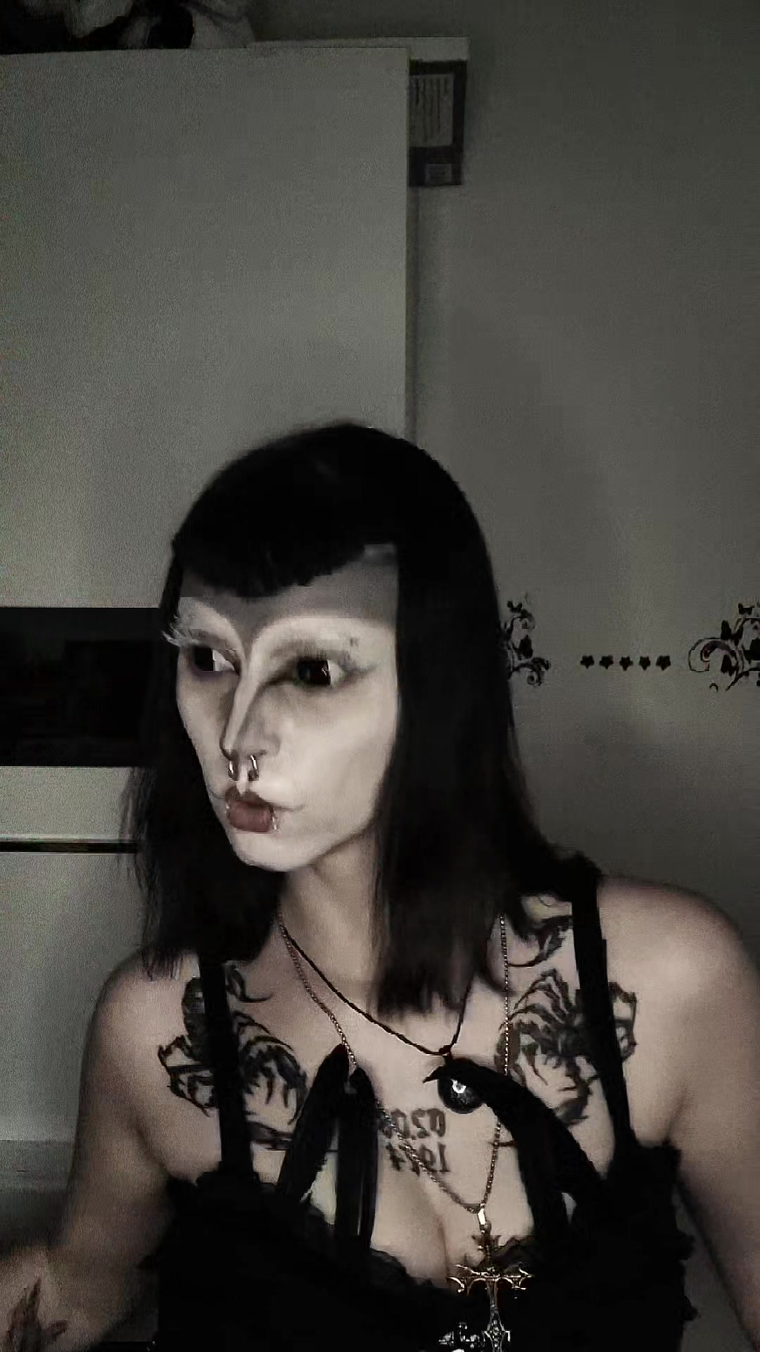 @🦇