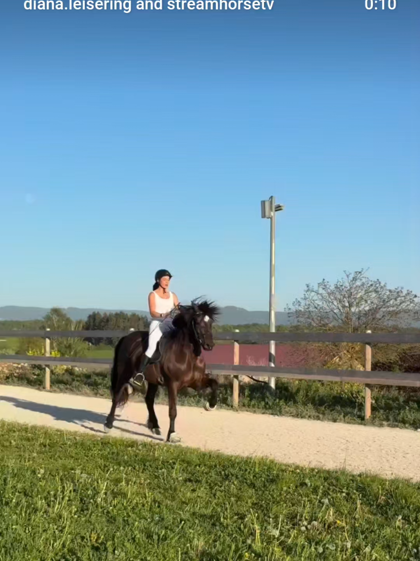 @streamhorse