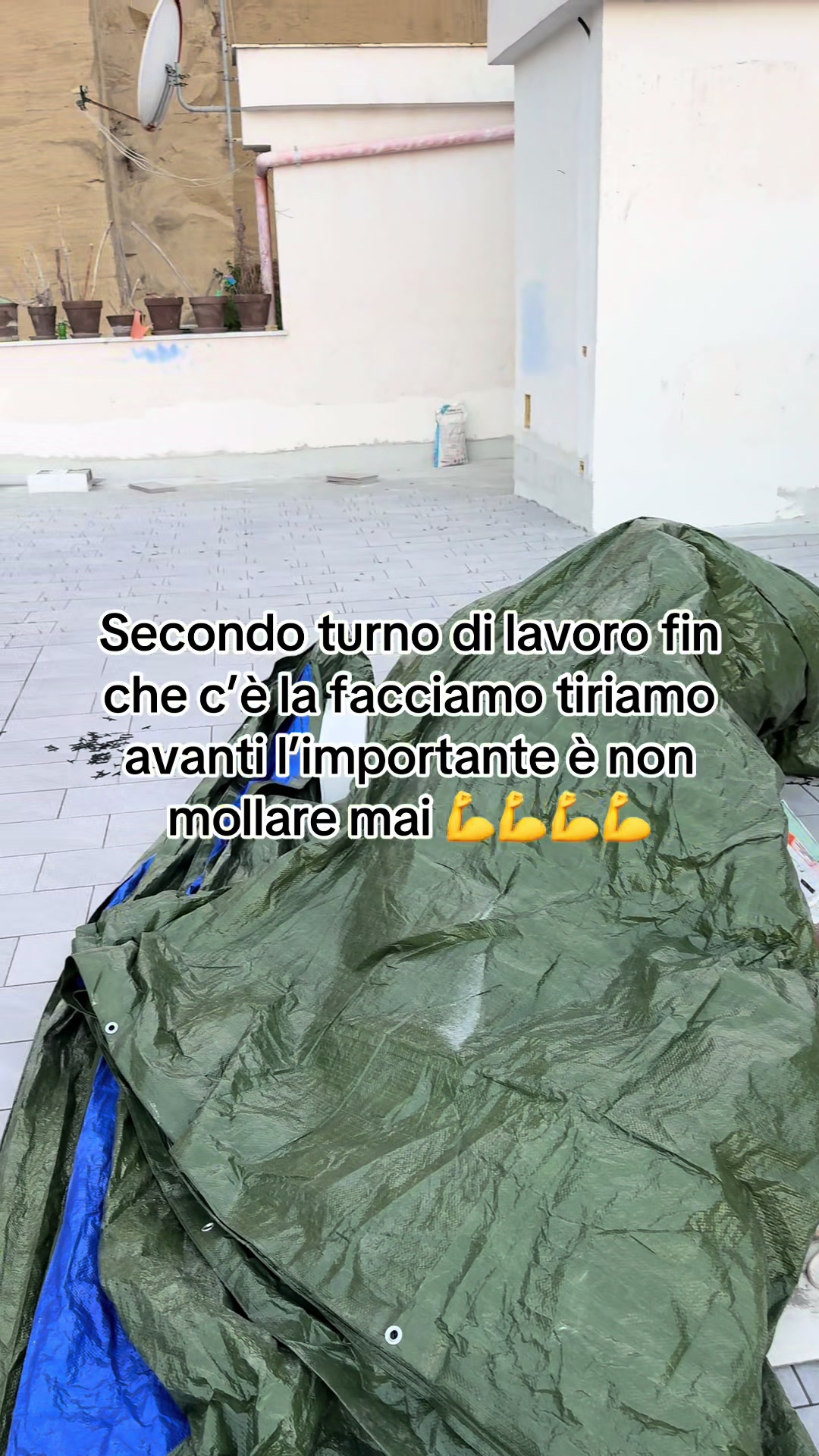 @Ristrutturazione della volpe