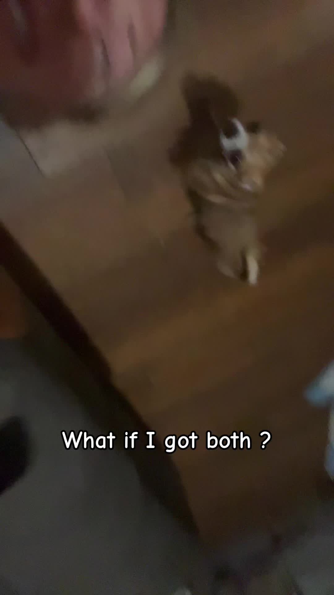 @Marley