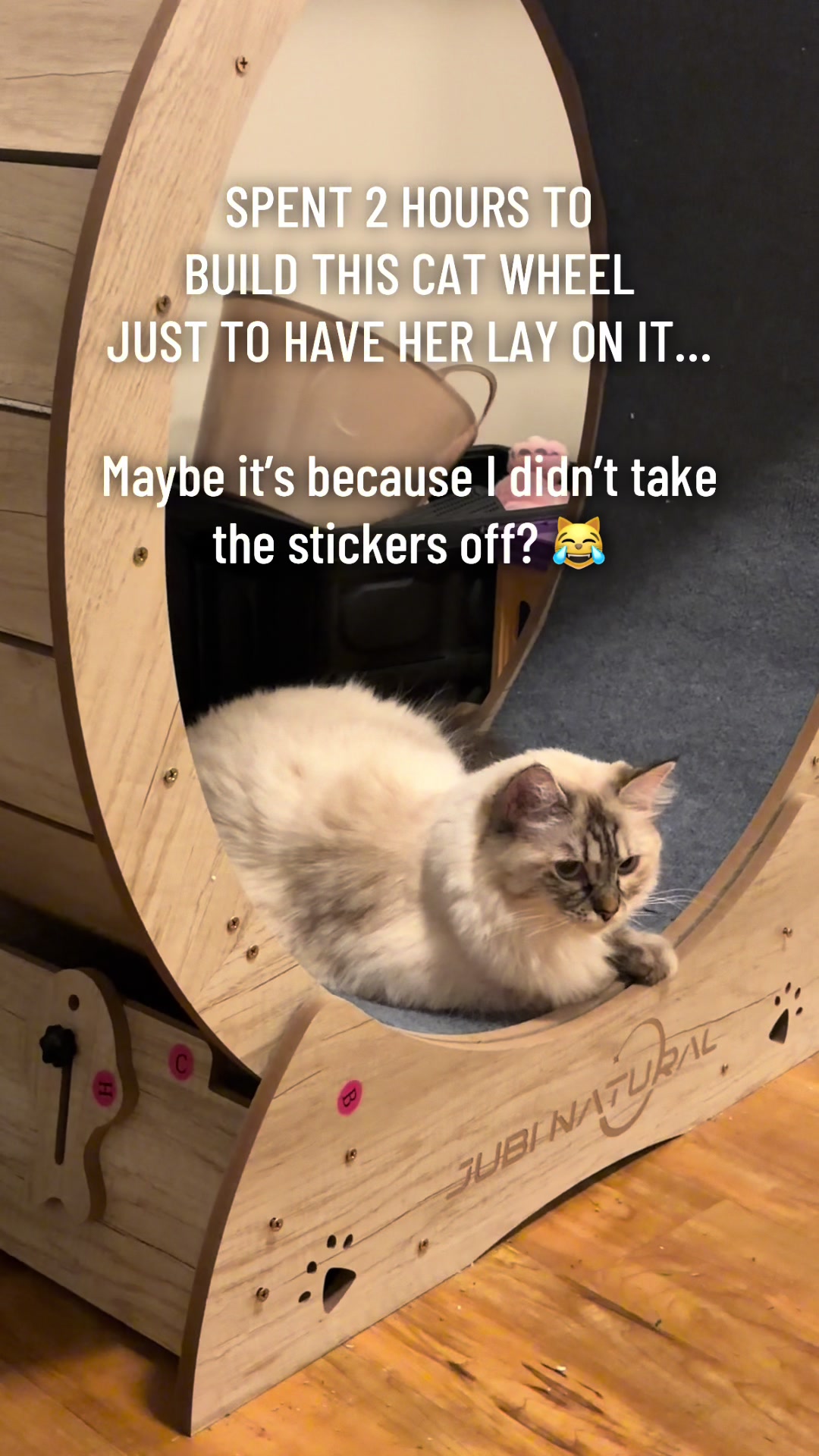 @DARTH TITTIOUS (Darthy)