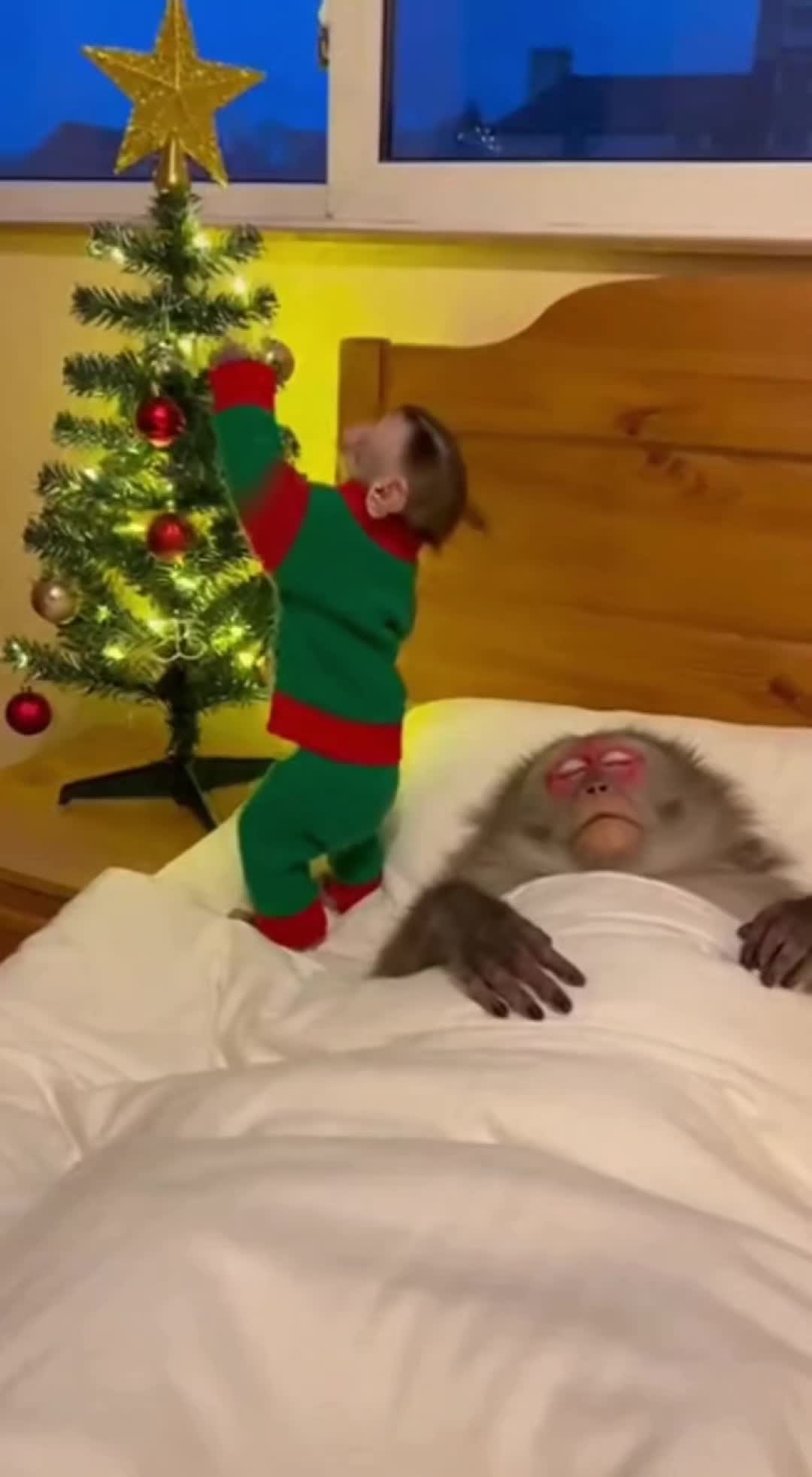 @monkeyfuntime
