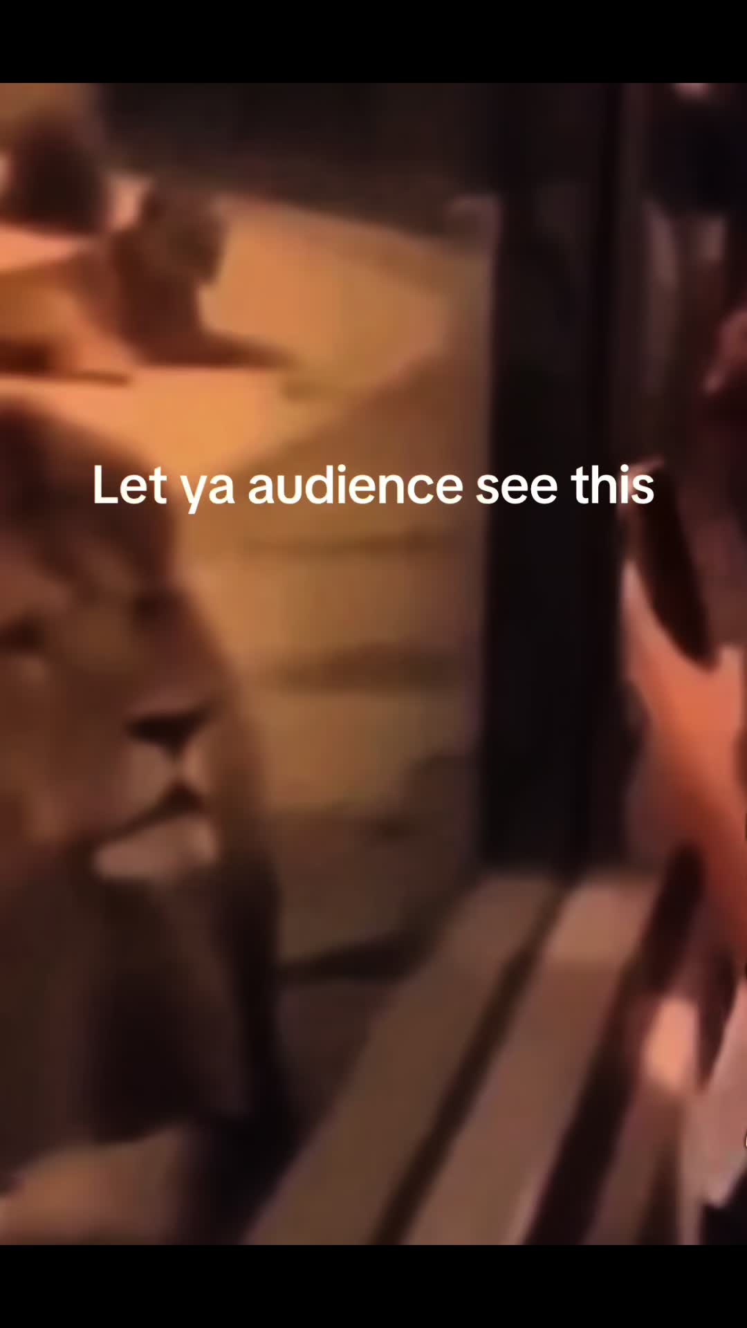 @niecywhat