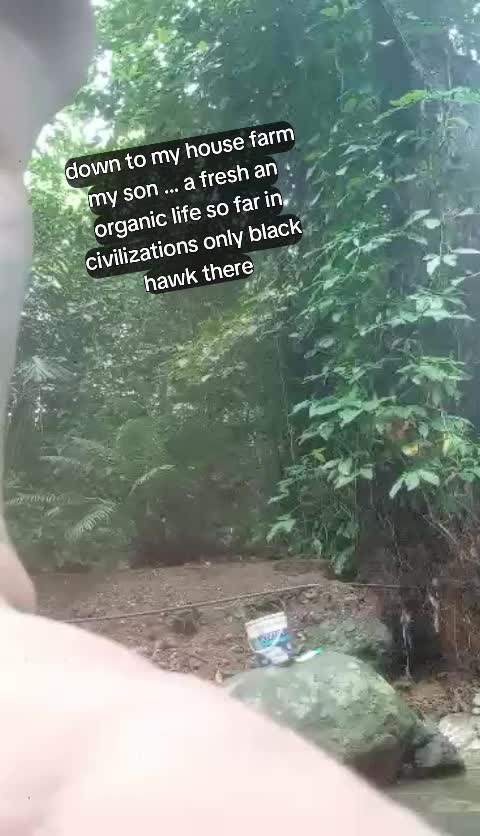 @ariyanababe