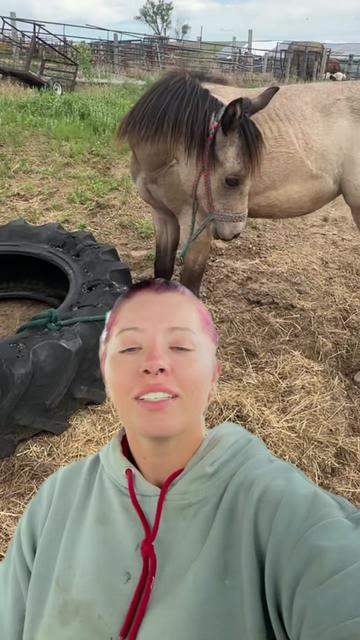 @LNZ