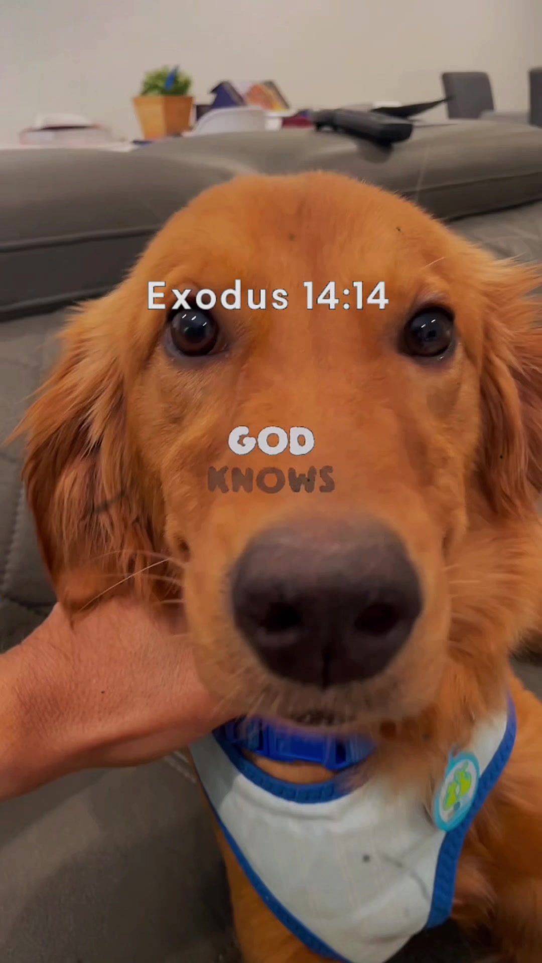 @Matthew 18:22