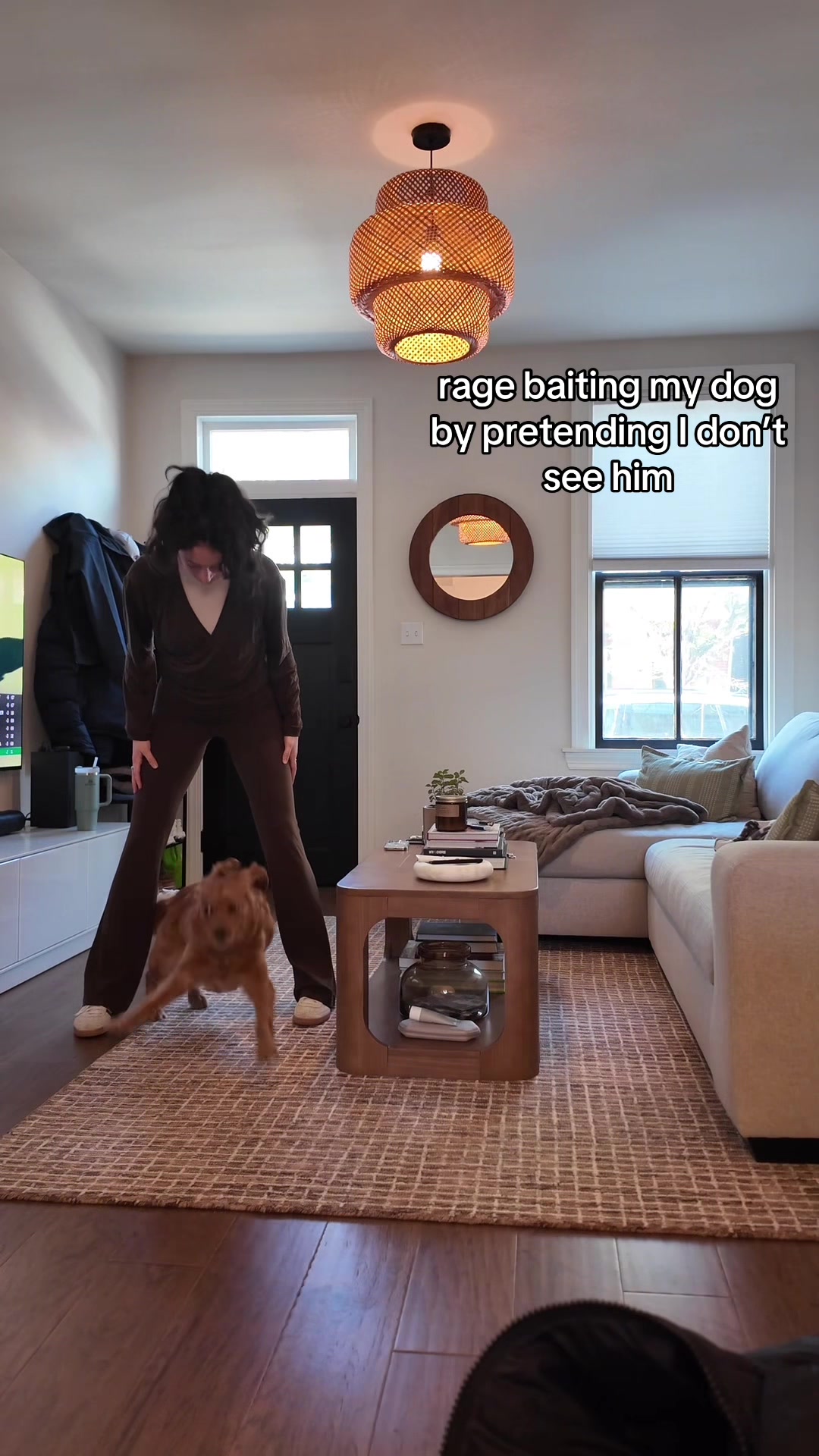 @joeythegoldencavalier