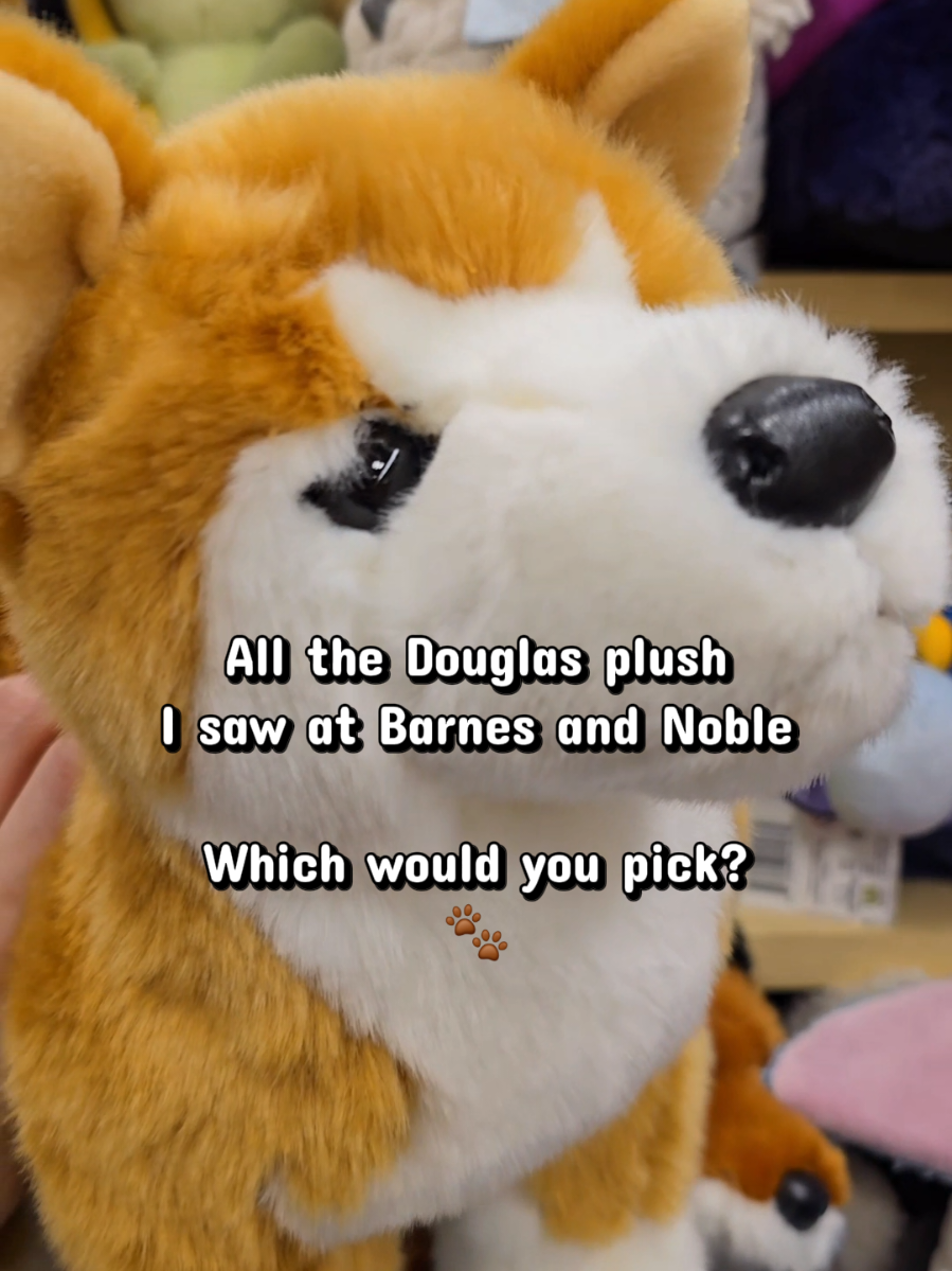 @Forest Spirit Collects