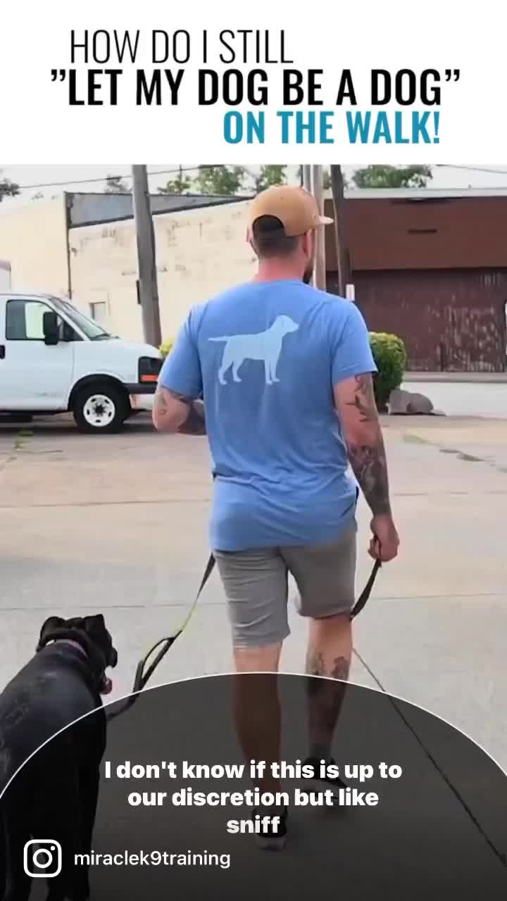 @Miracle K9 Training