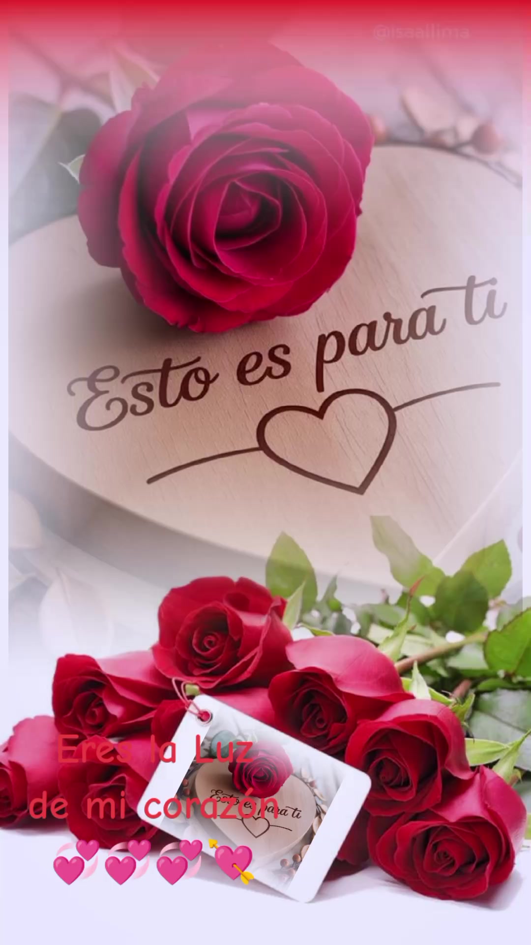 @🌹Lucia Tuqui🌹