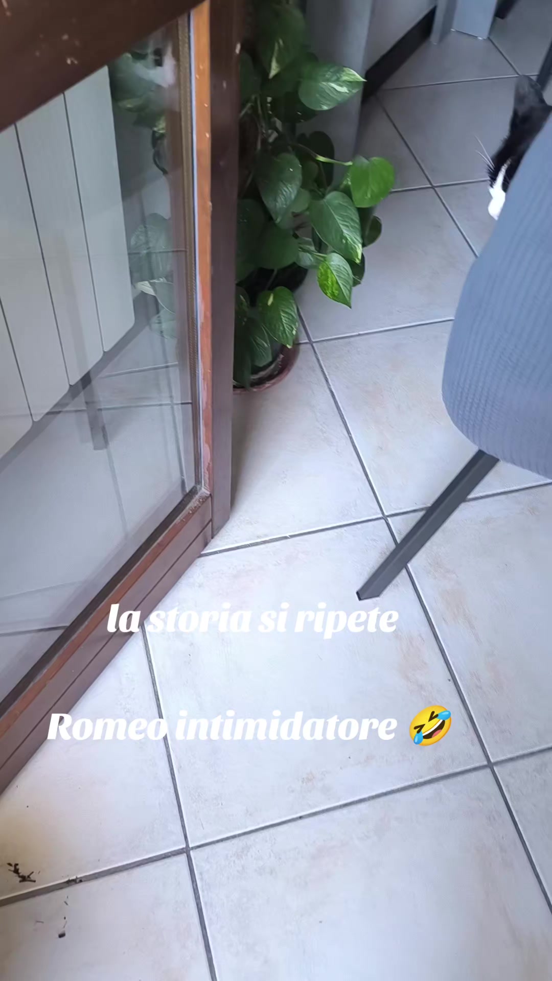 @Pina