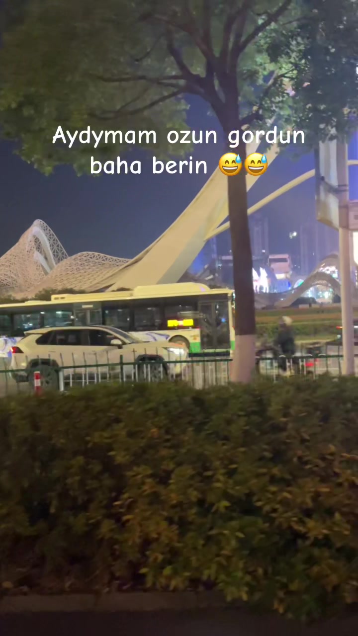 @Sapaly China 🇨🇳