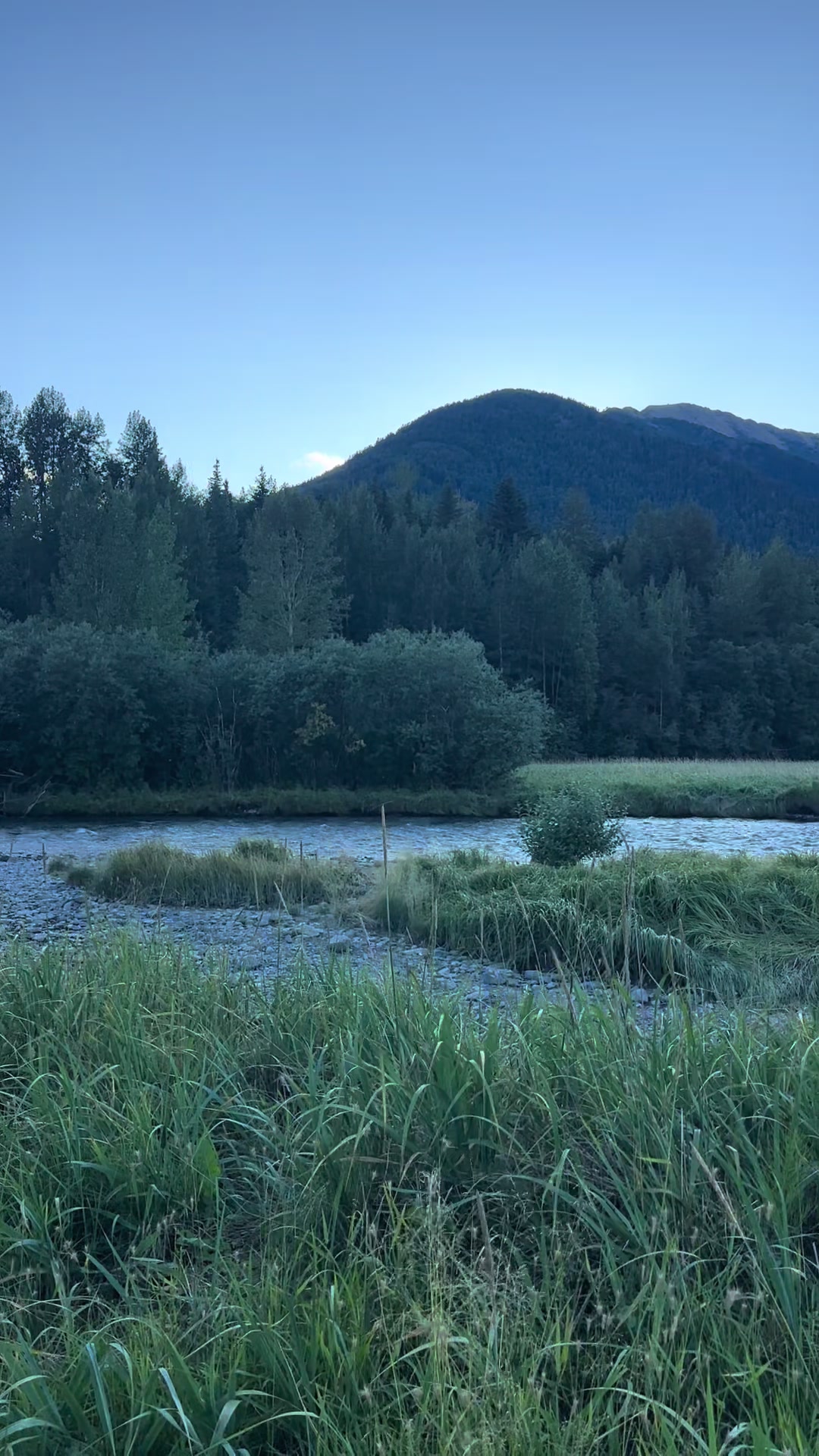 @Kayak_AK