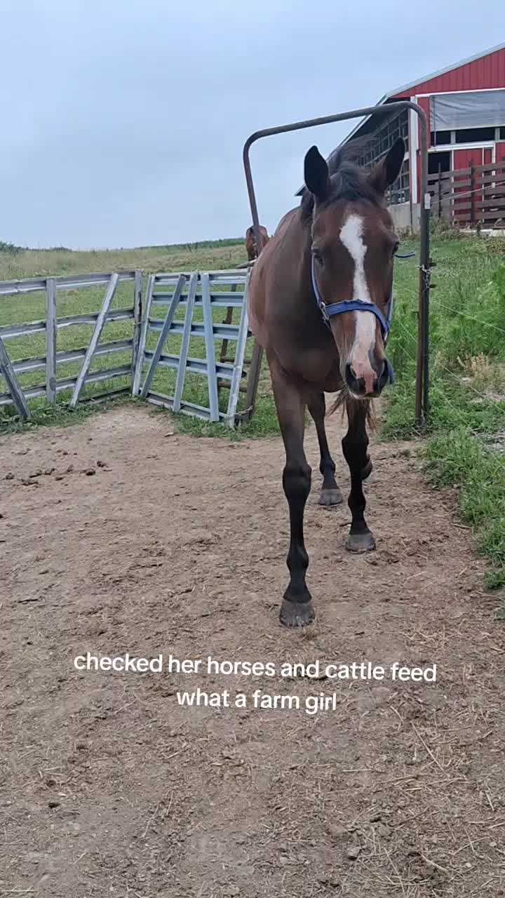 @Taylor | Sah{farm}m