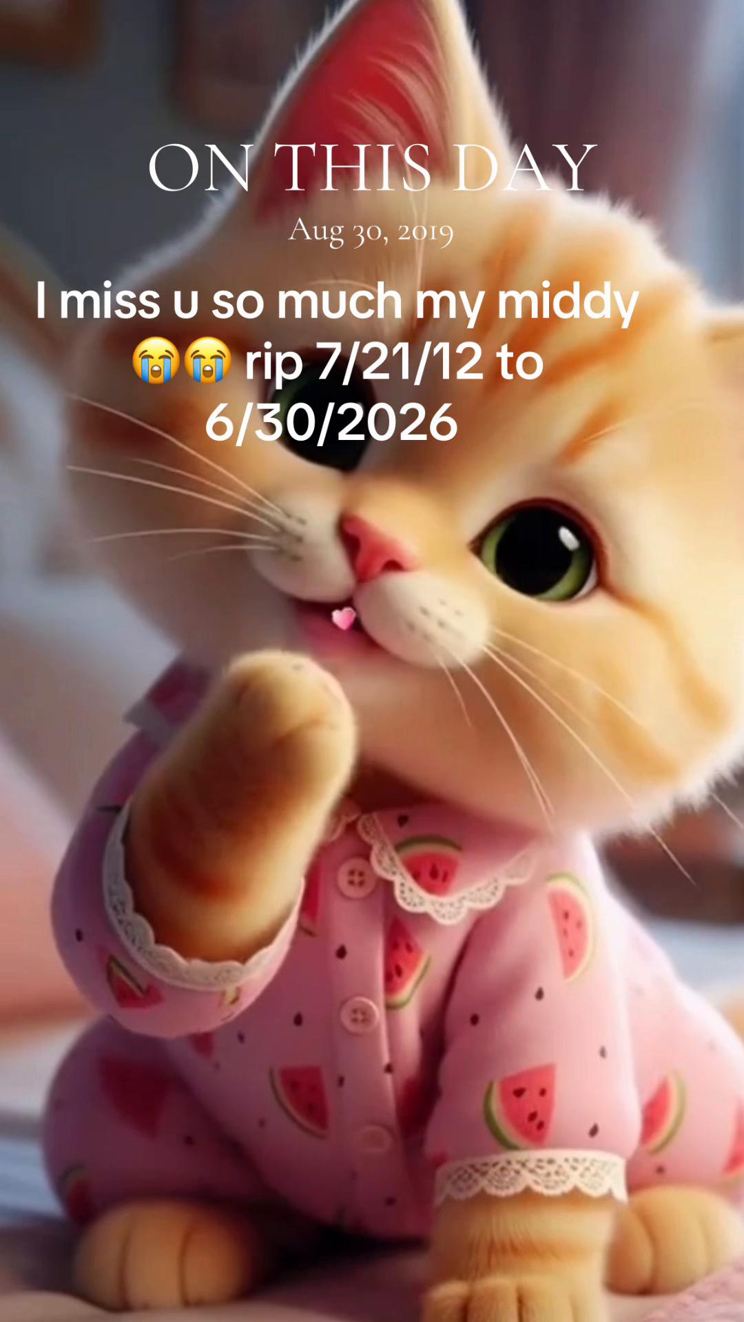 @Courtney.positiviteam 🏳️&zwj;🌈