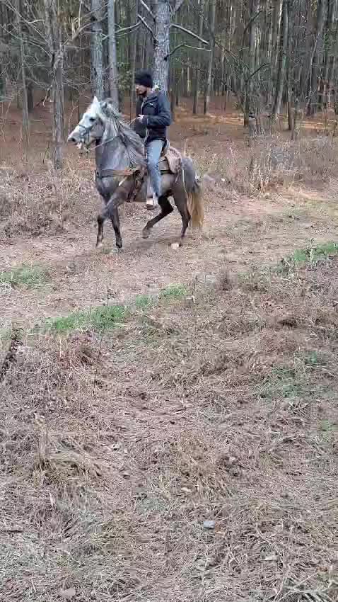 @joserefugiodiaz49