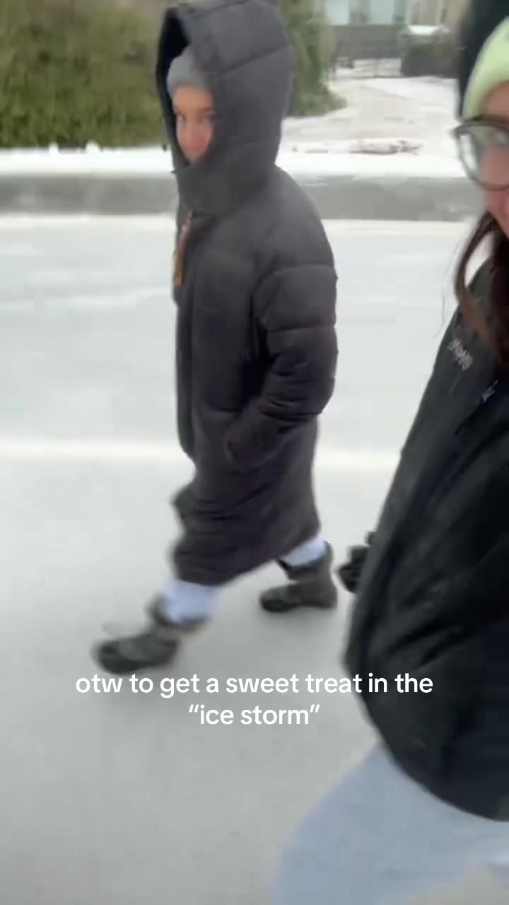 @greeneggsandsam246