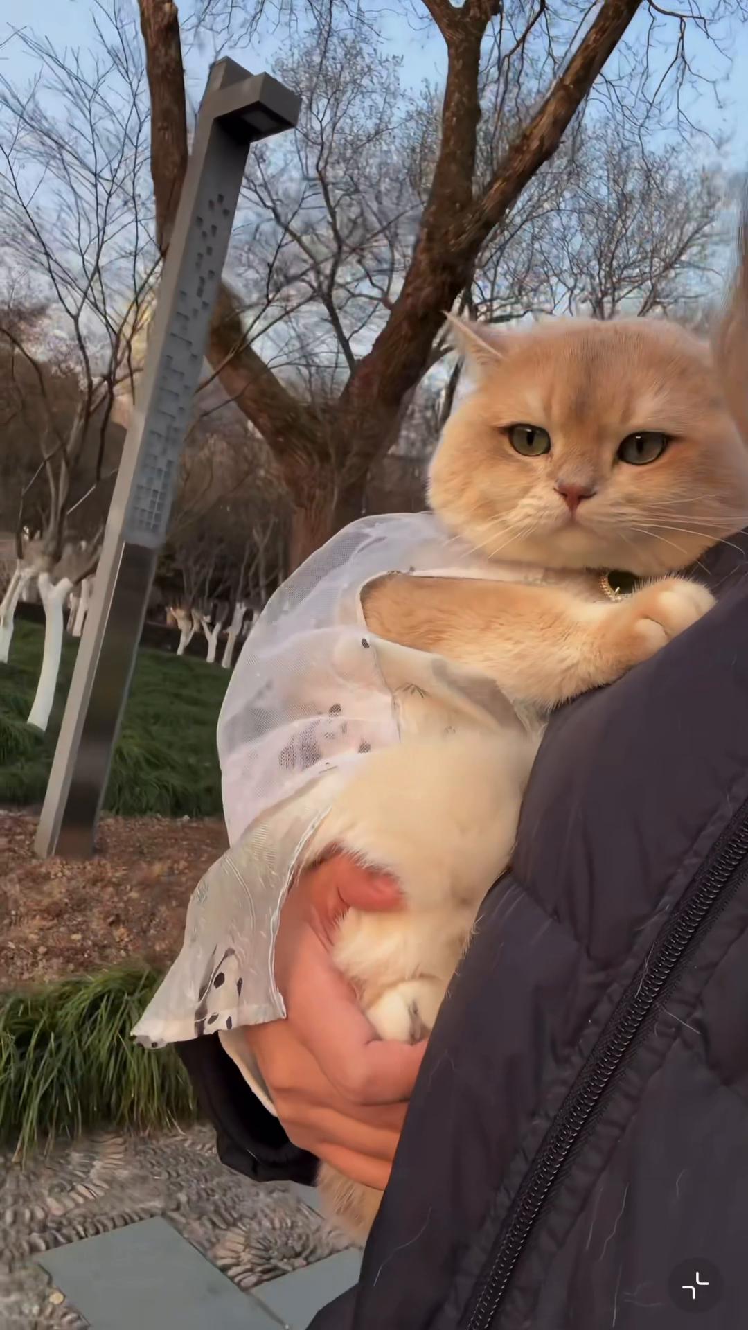 @My Daily Dose of Aww