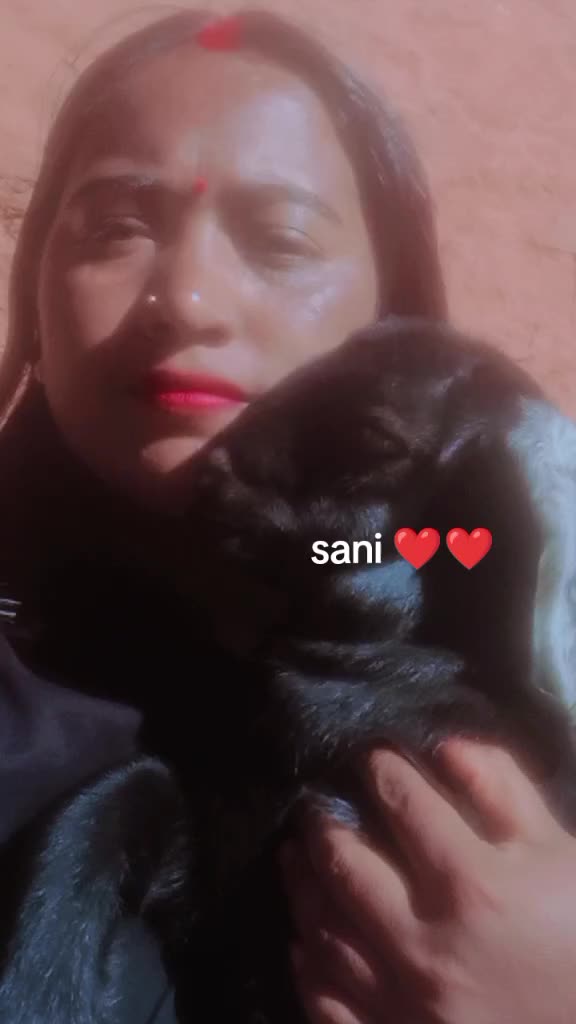 @sumitranegi40