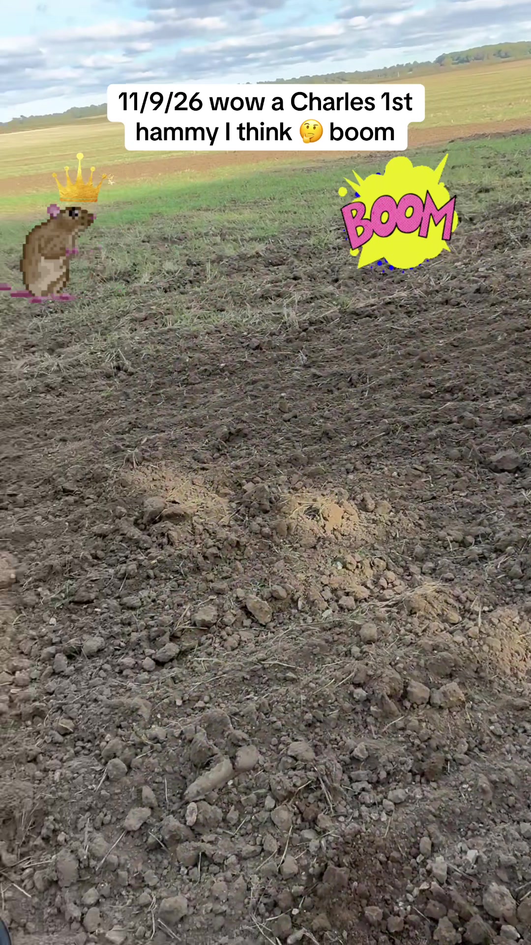 @SirKingRat