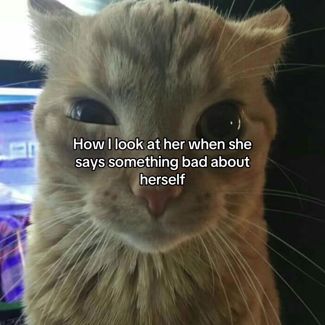 @Alice.cattok