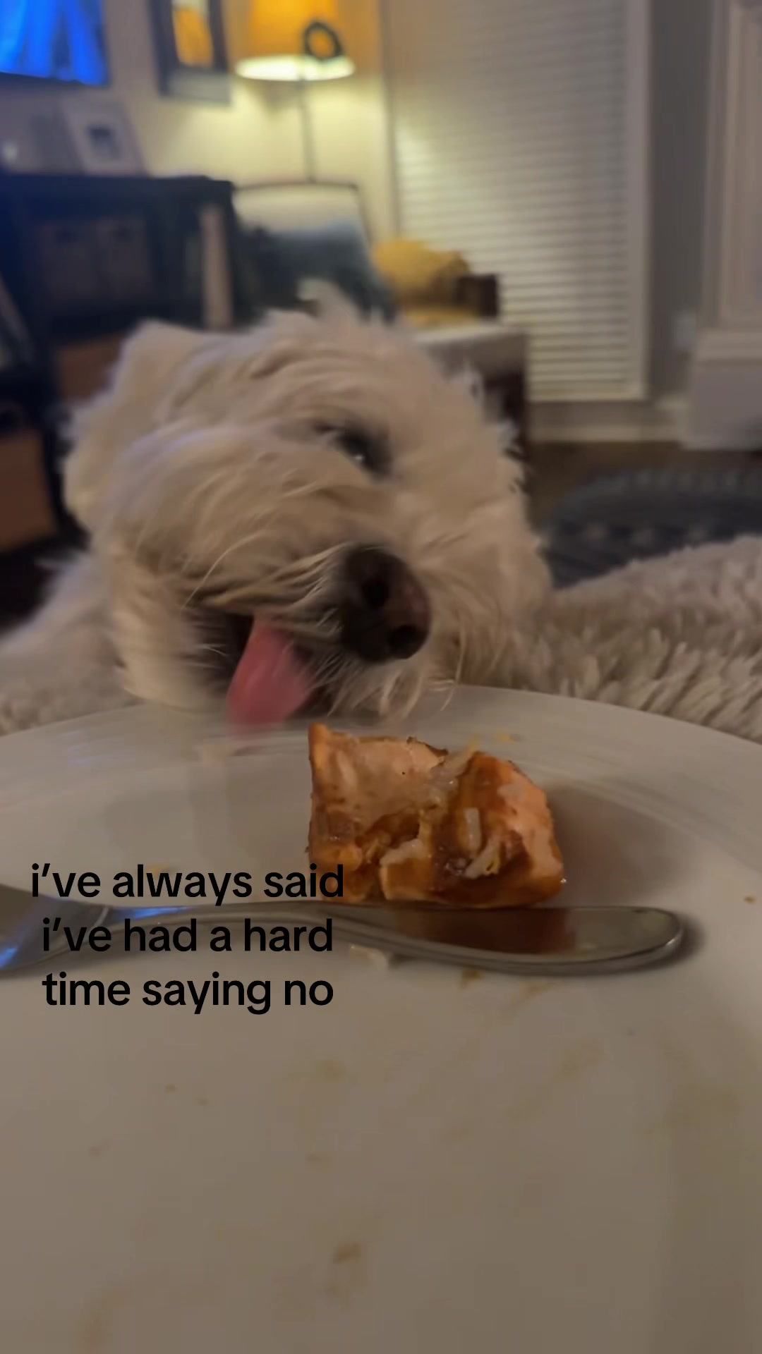@spammeepbop
