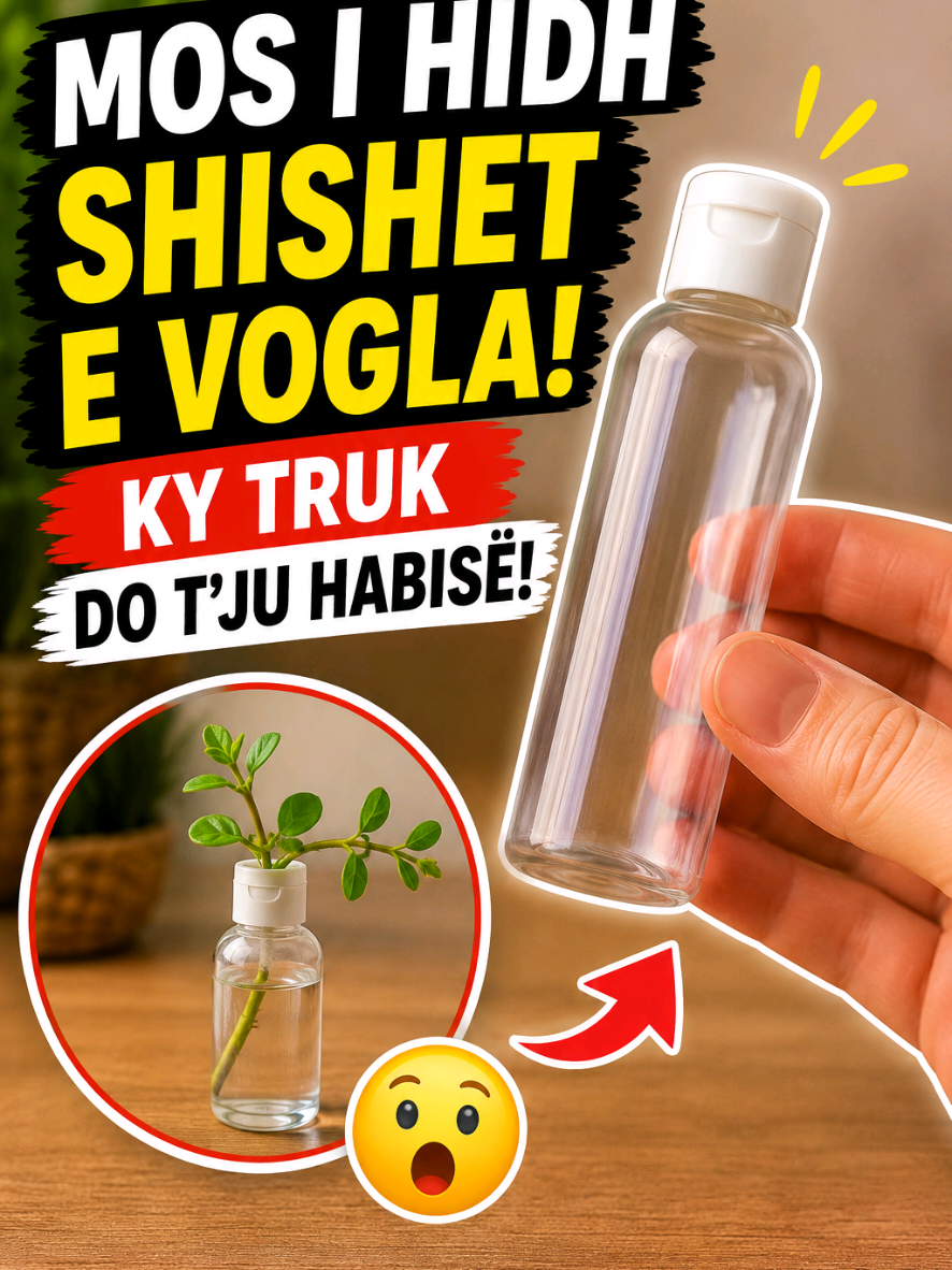 @Body Insight Shqip 🇦🇱 🇽🇰