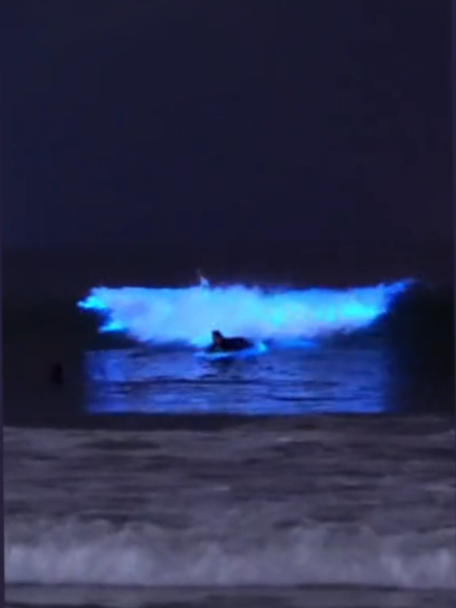 @Otua🪼surf