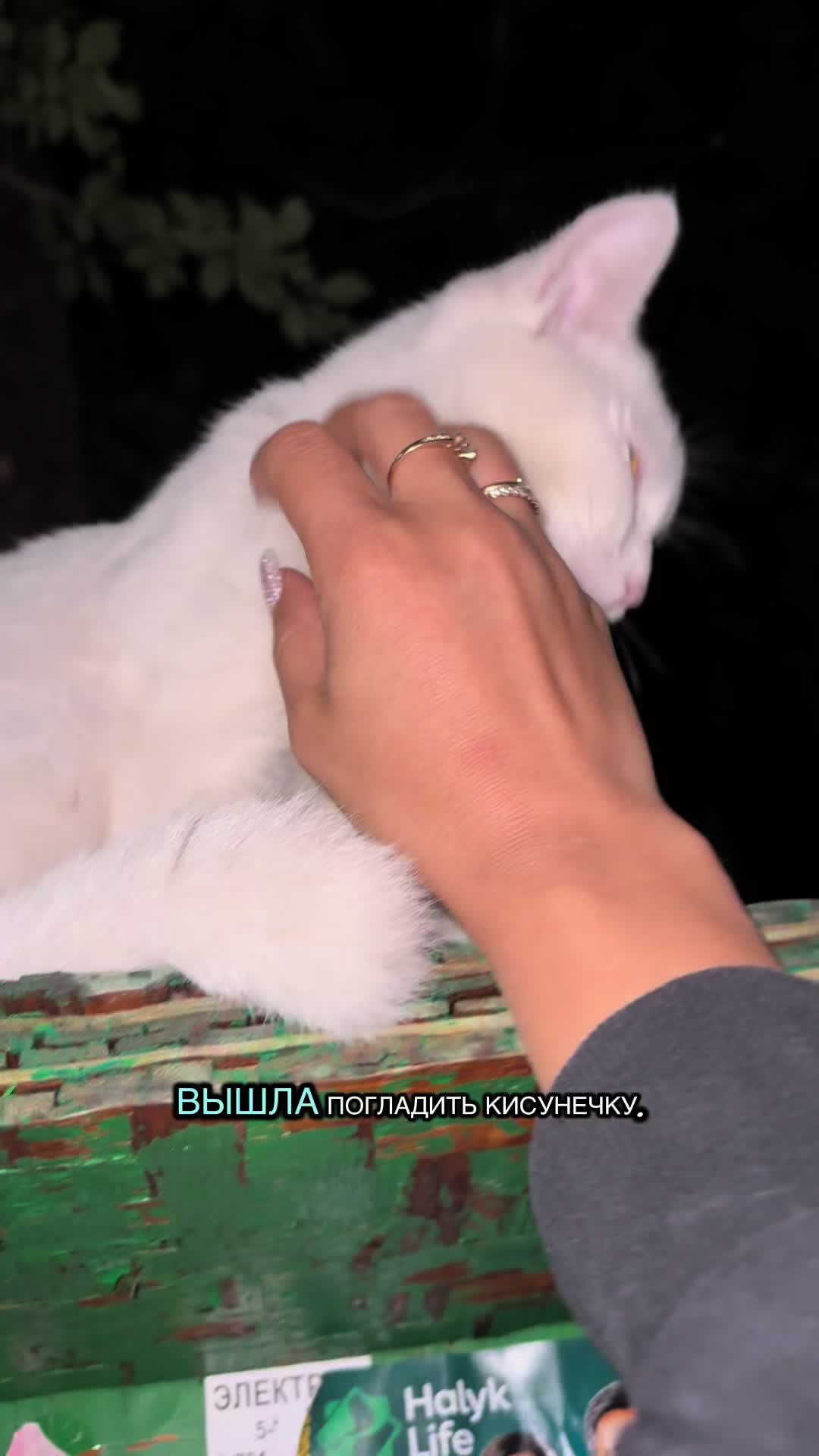 @Mulachka-bulochka