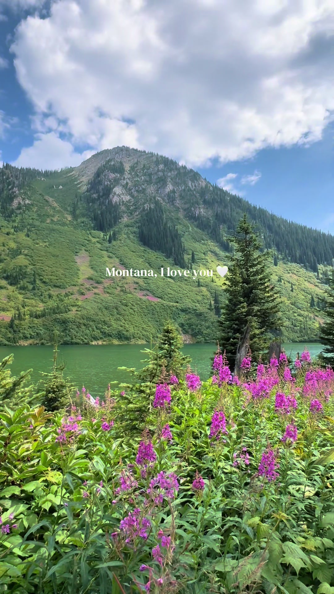 @Lucy ⛰️✨🌲