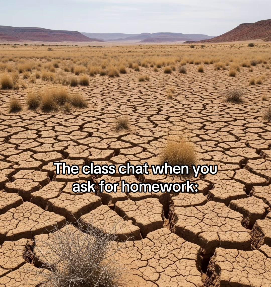 @Eliana
