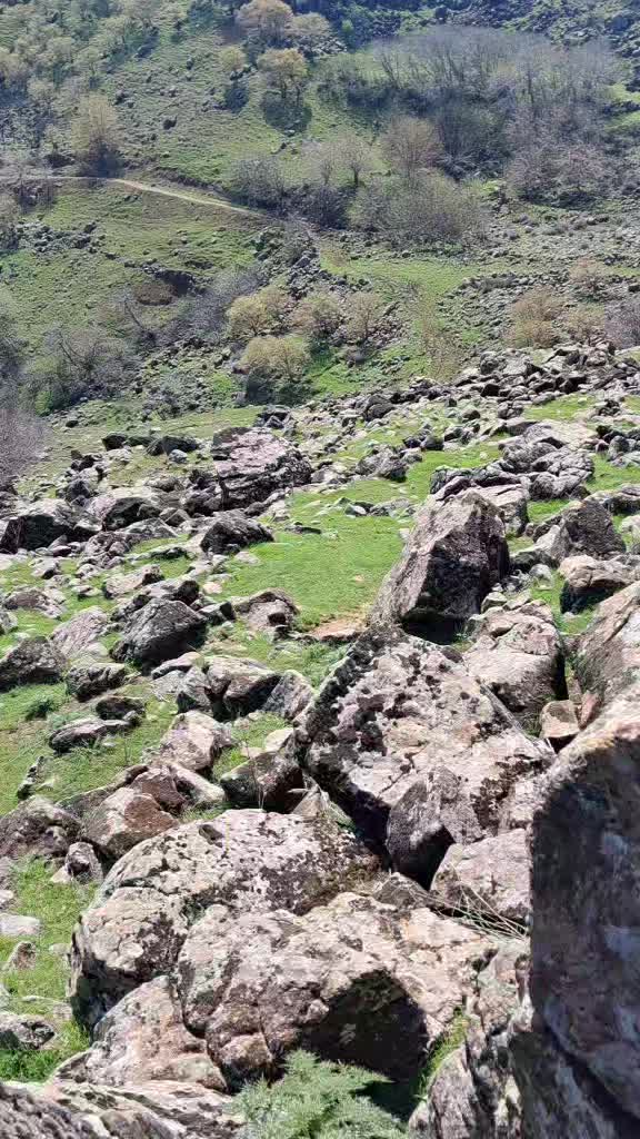 @mıhan oğlu beslicilik
