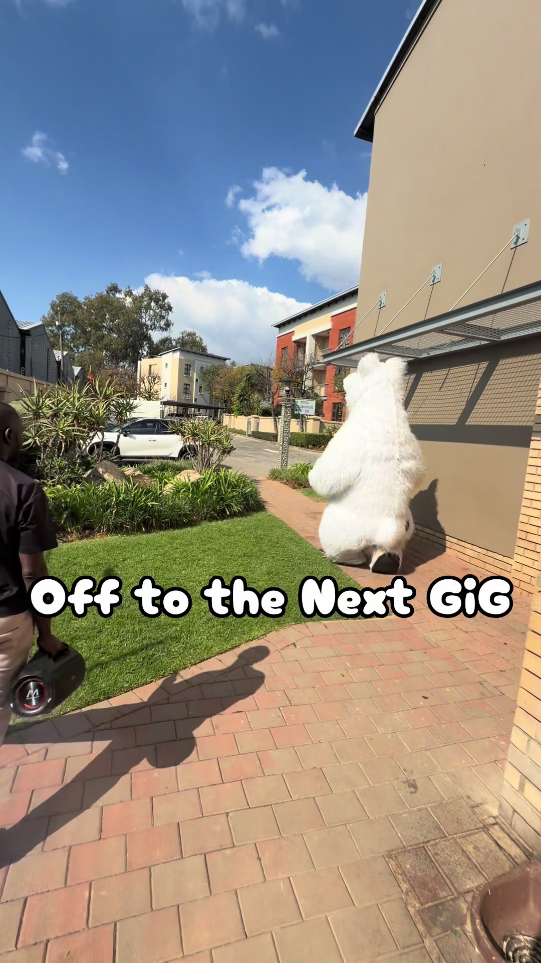 @dancingmascotssa