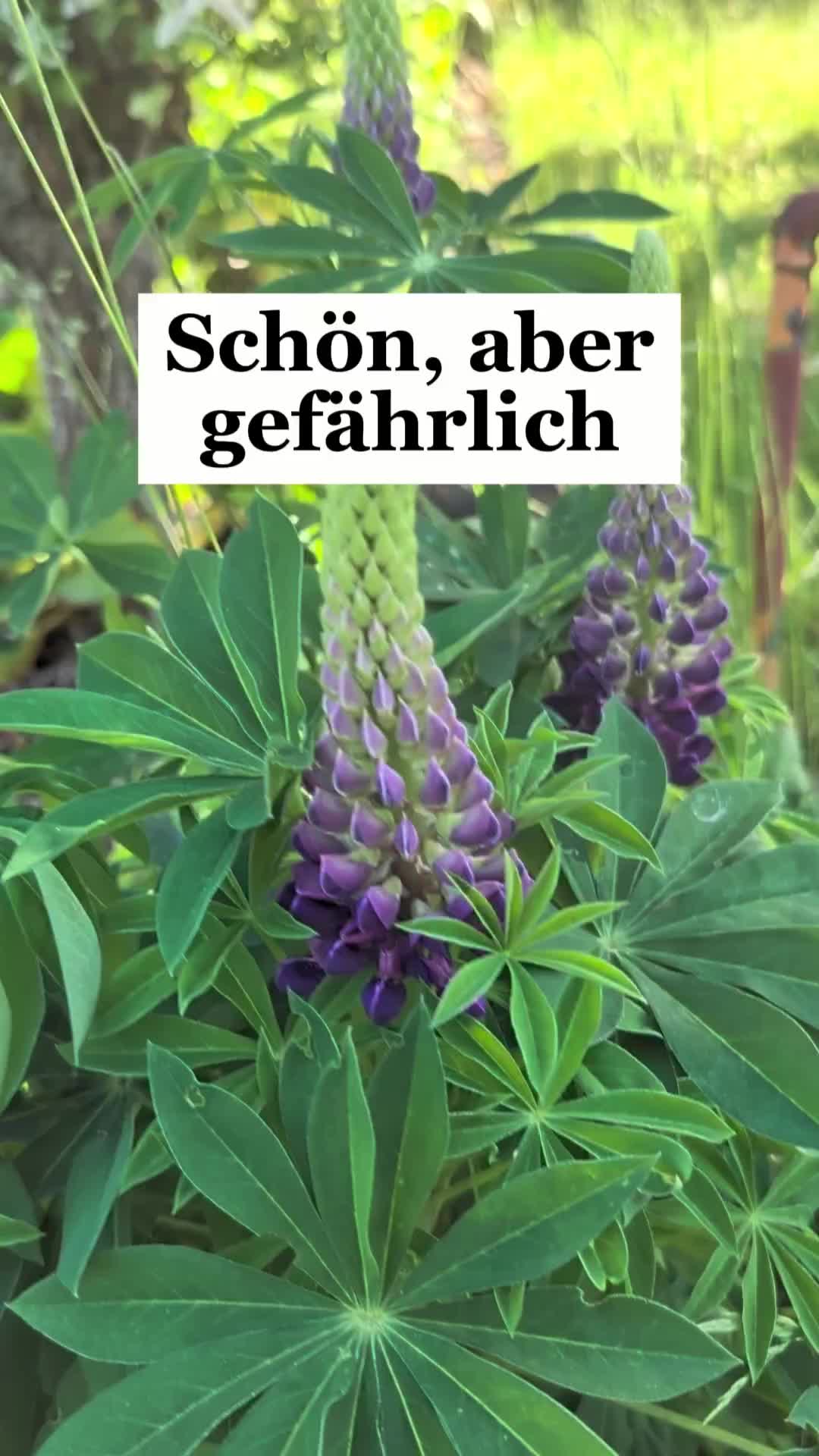 @ErnteExperte