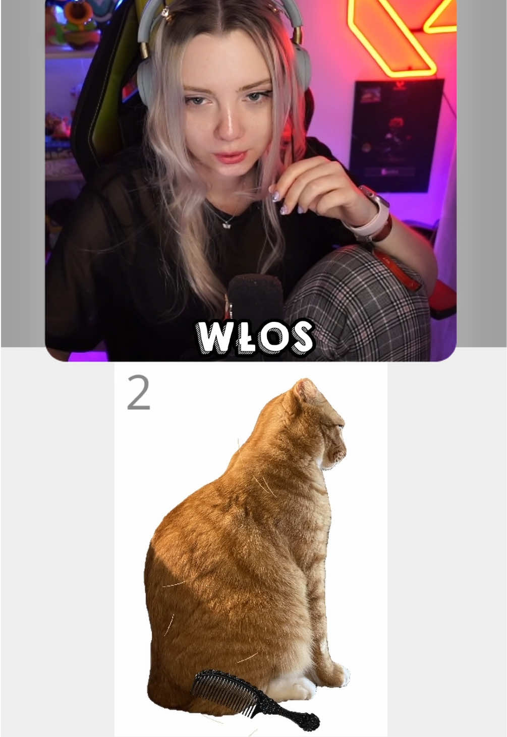 @wpatka