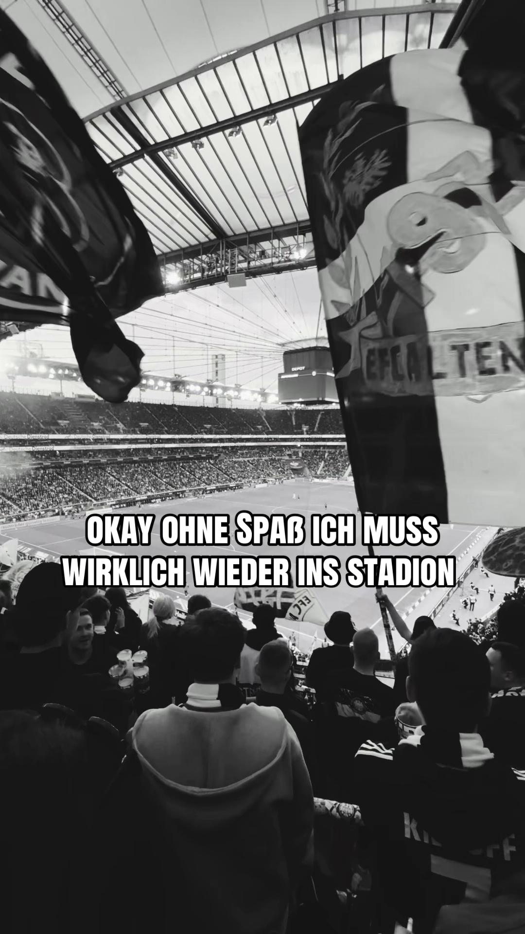 @sophie 🦅