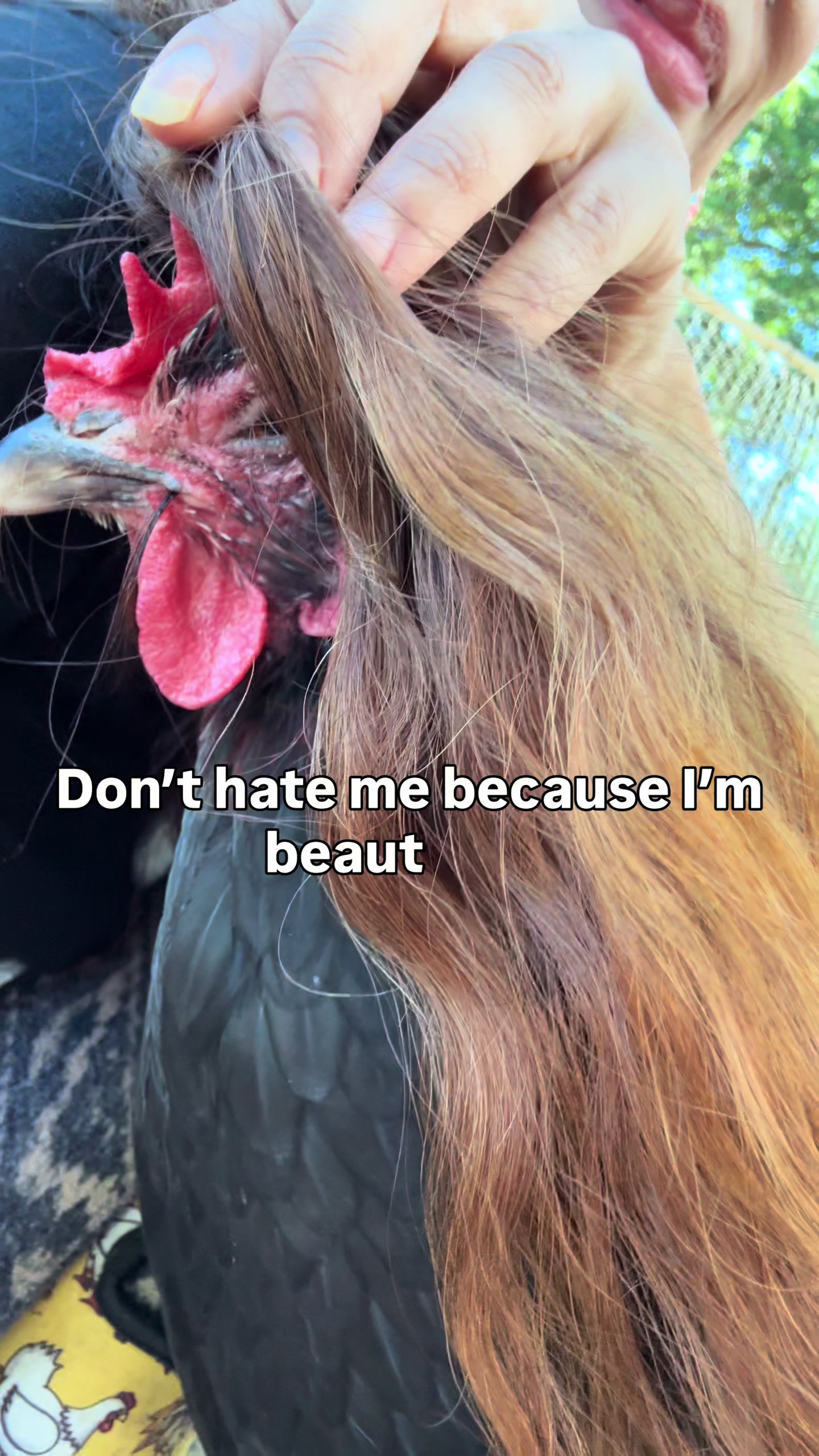 @The Real Estate Chick