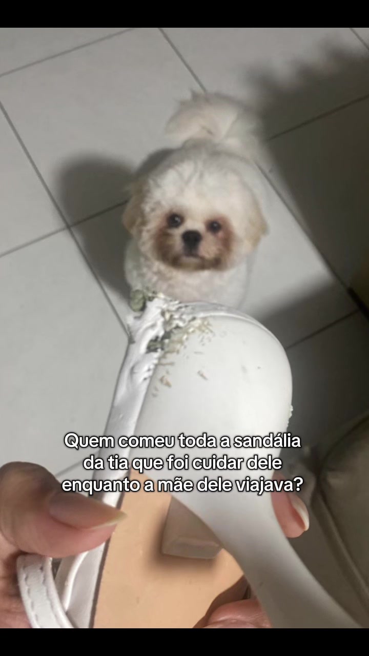 @Larissa Dalper