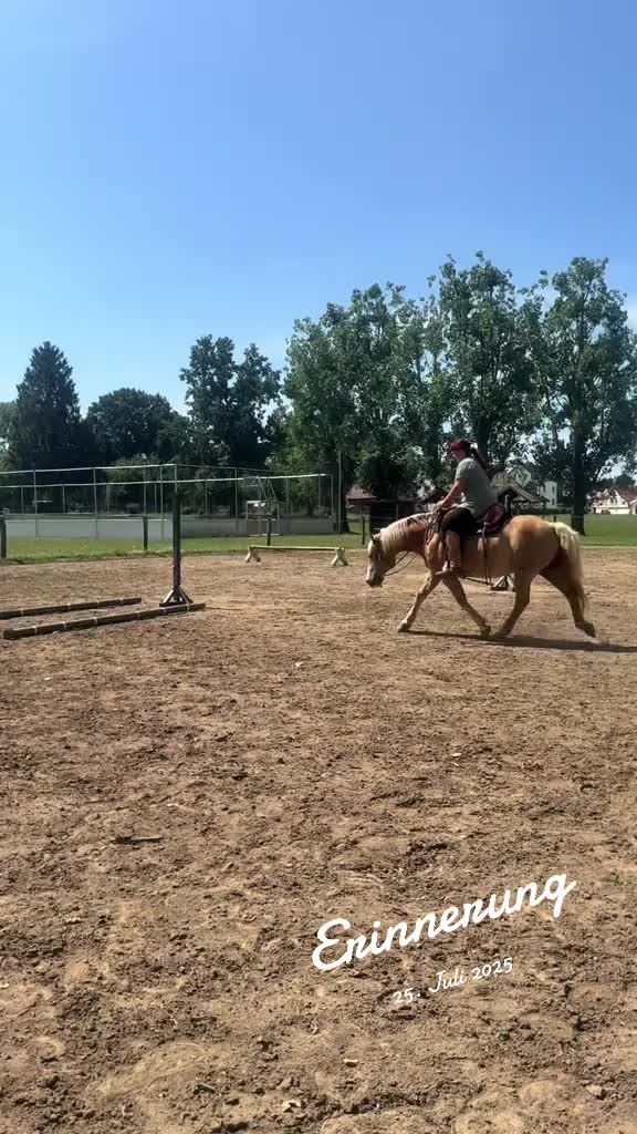 @Cowgirls Lifestyle