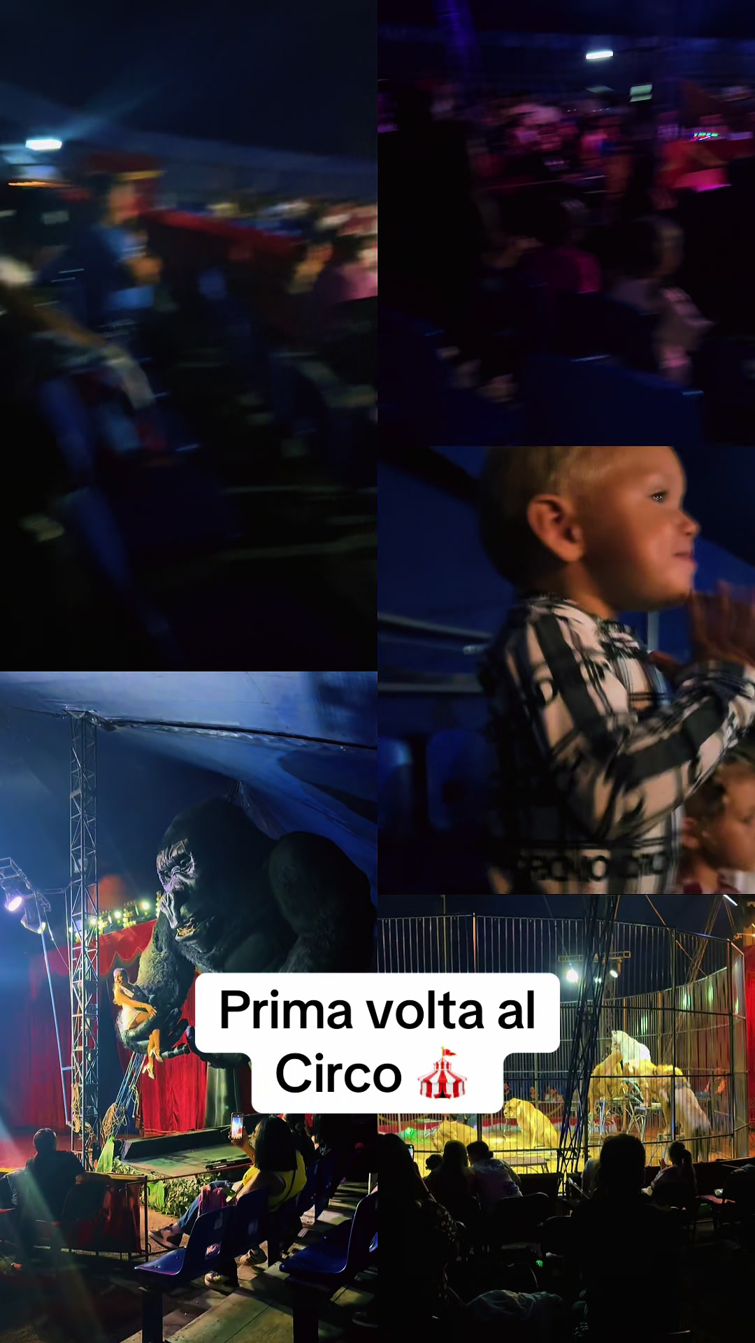@Chiara Giuffrida