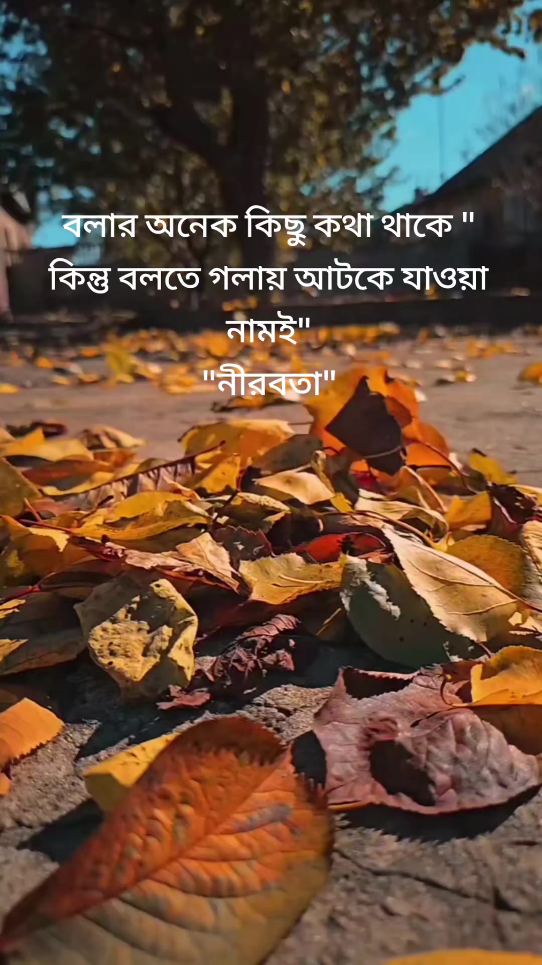 @Nafisa