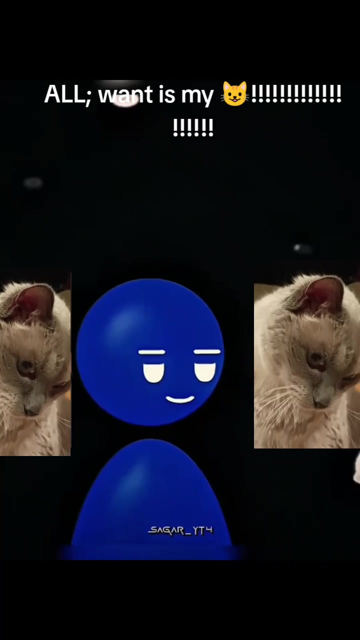 @gigganinja🥷