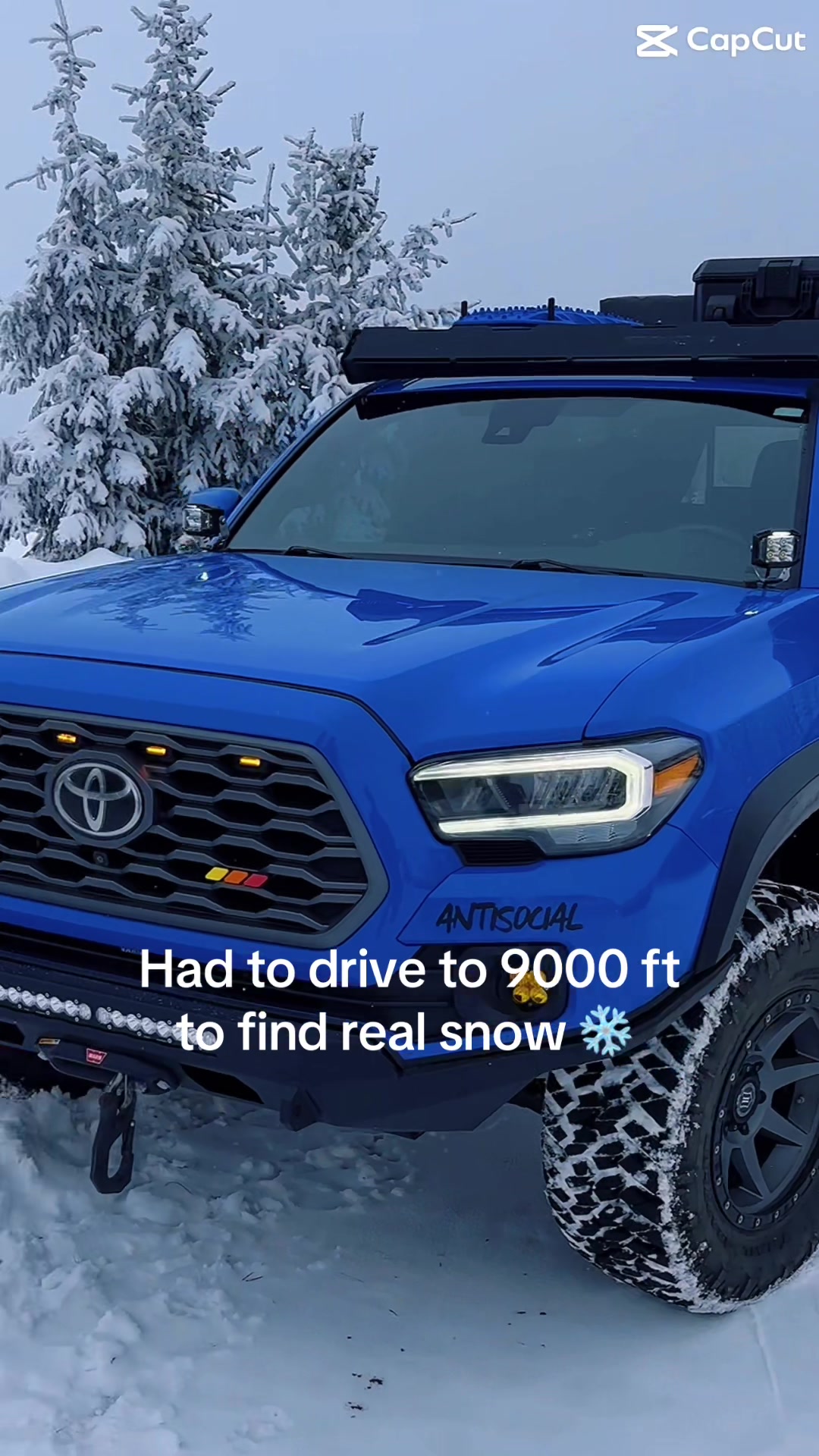 @Silverfox_yota